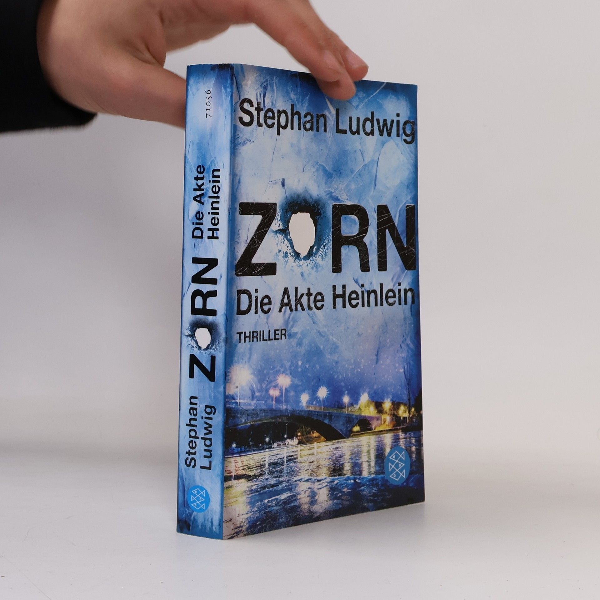 Zorn - Die Akte Heinlein