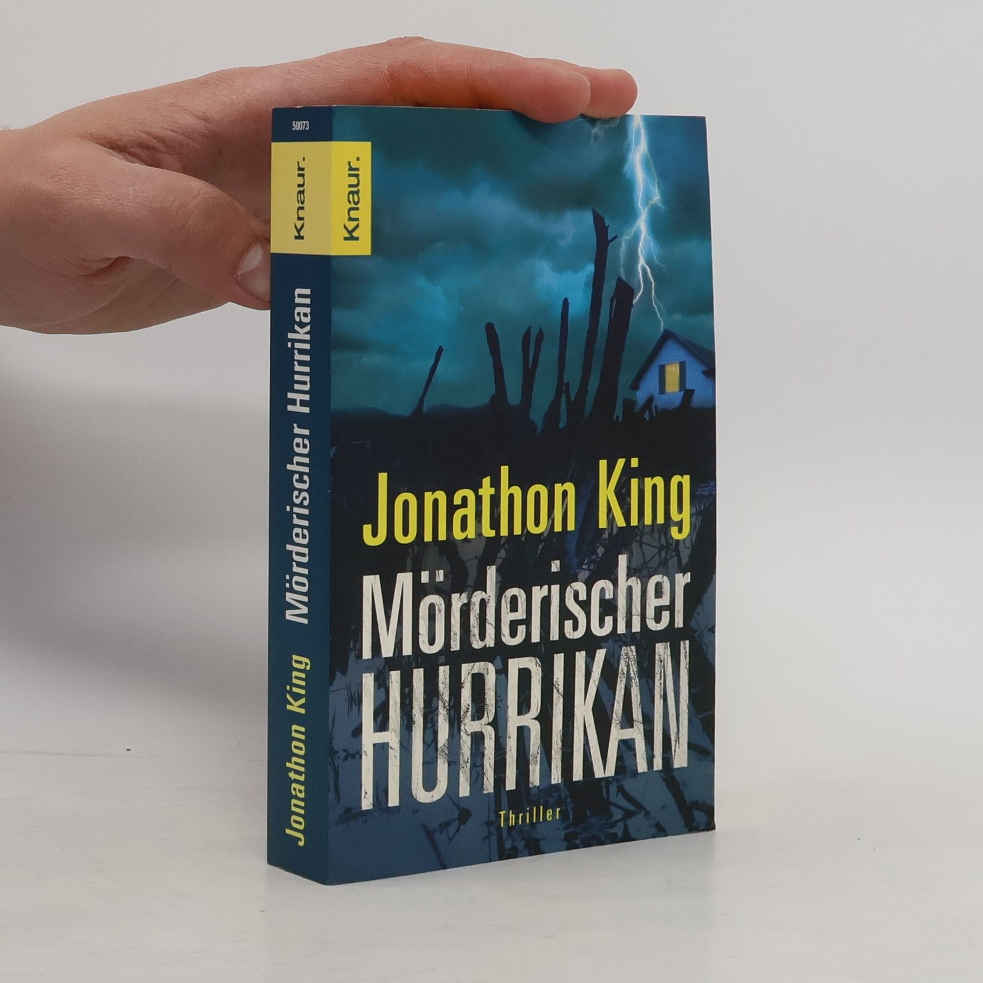 Jonathon King Mörderischer Hurrikan. Max Freeman Band 5