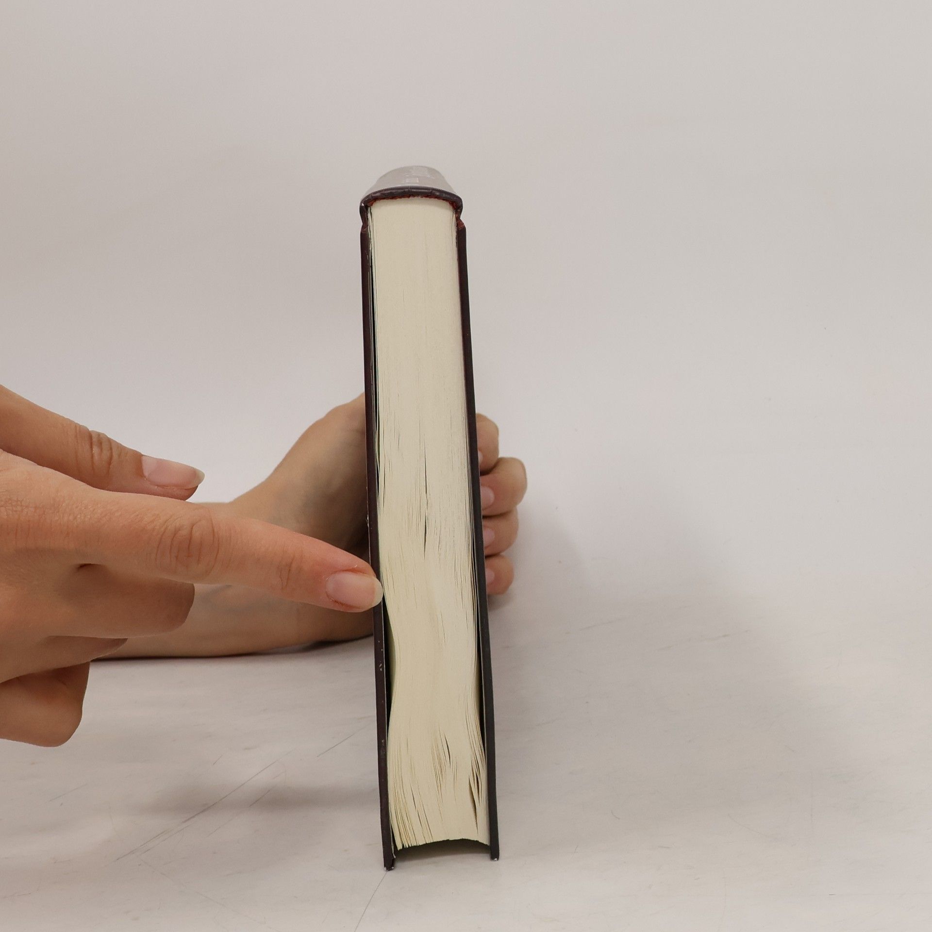 Dinah Bucholz Das inoffizielle Harry-Potter-Kochbuch