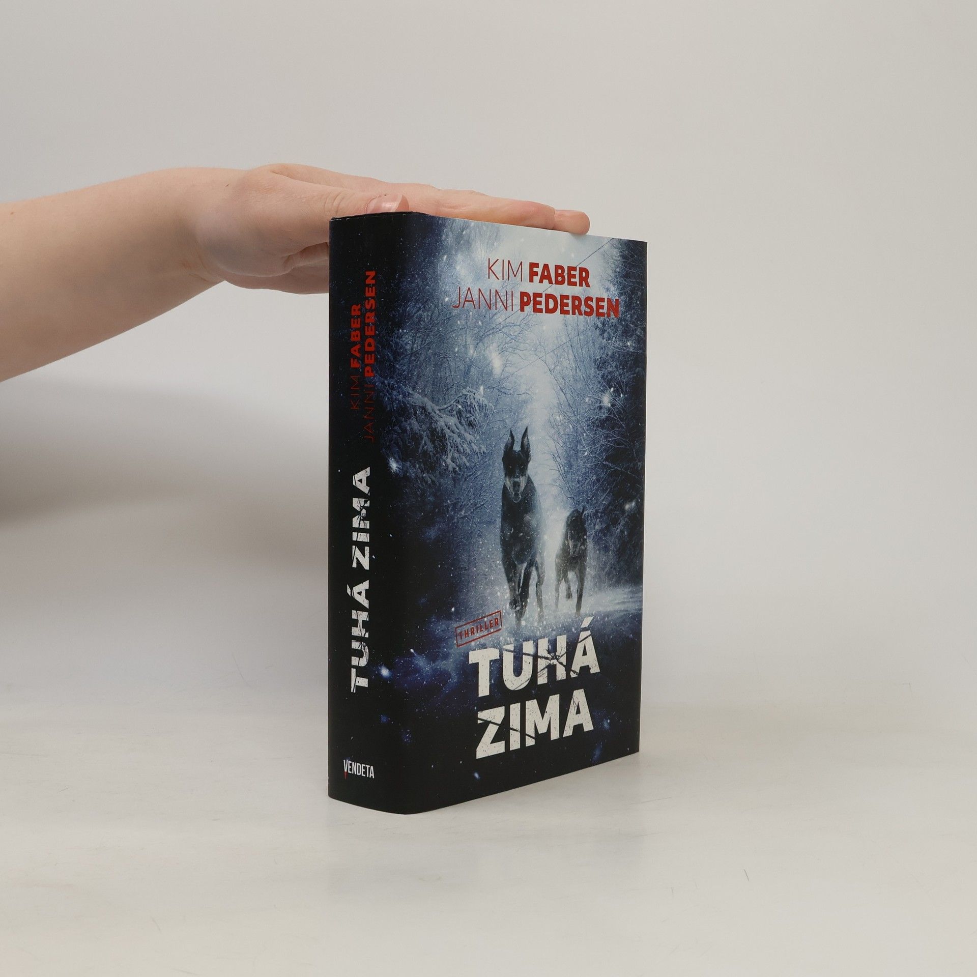 Kim Faber Tuhá zima