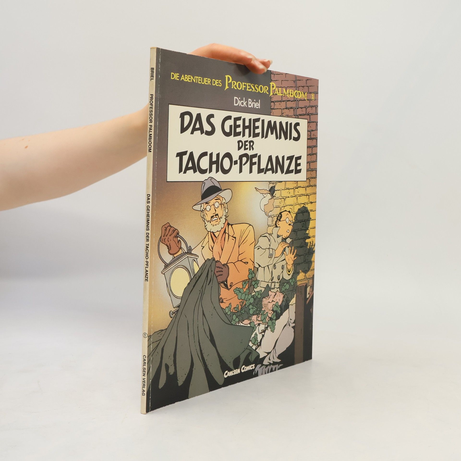 Die Abenteuer des Professor Palmboom