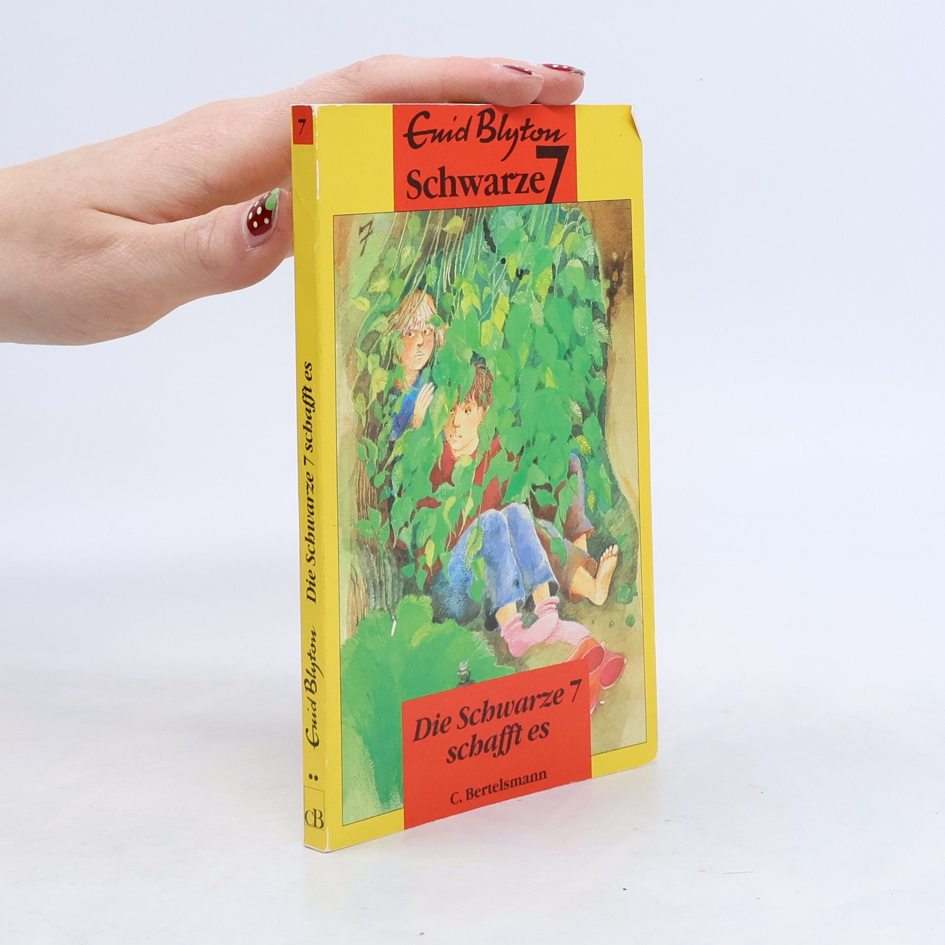 Enid Blyton Die Schwarze Sieben schafft es