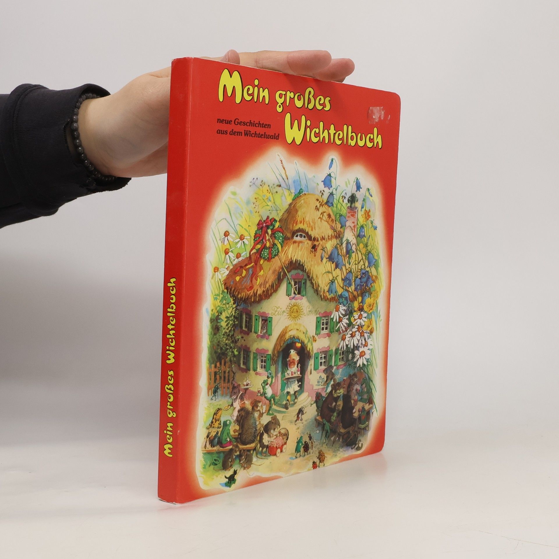 Various authors Mein grosses Wichtelbuch