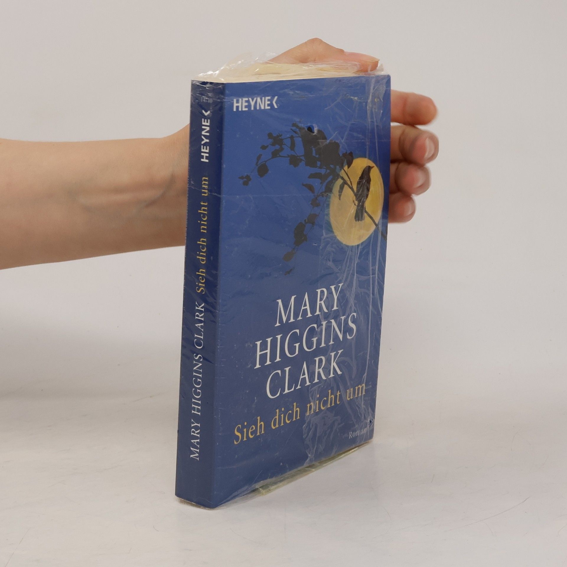 Mary Higgins Clark Sieh dich nicht um