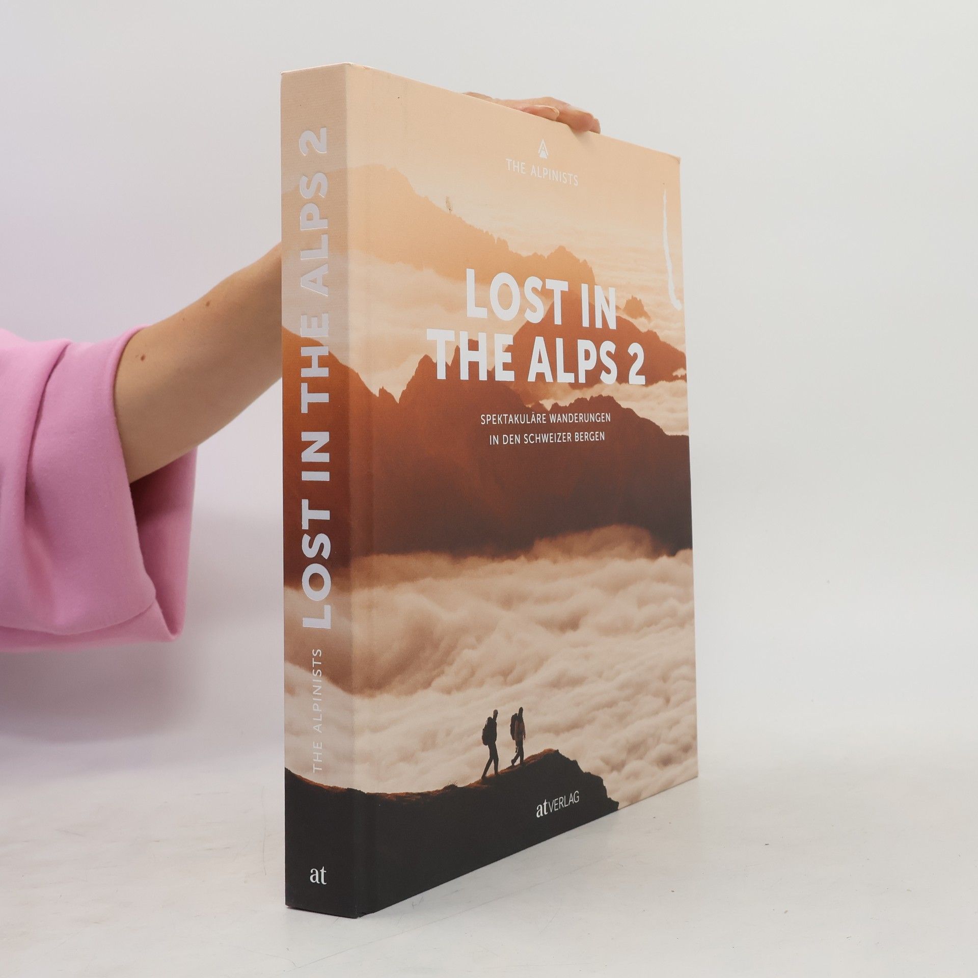 The The Alpinists Lost In the Alps 2
