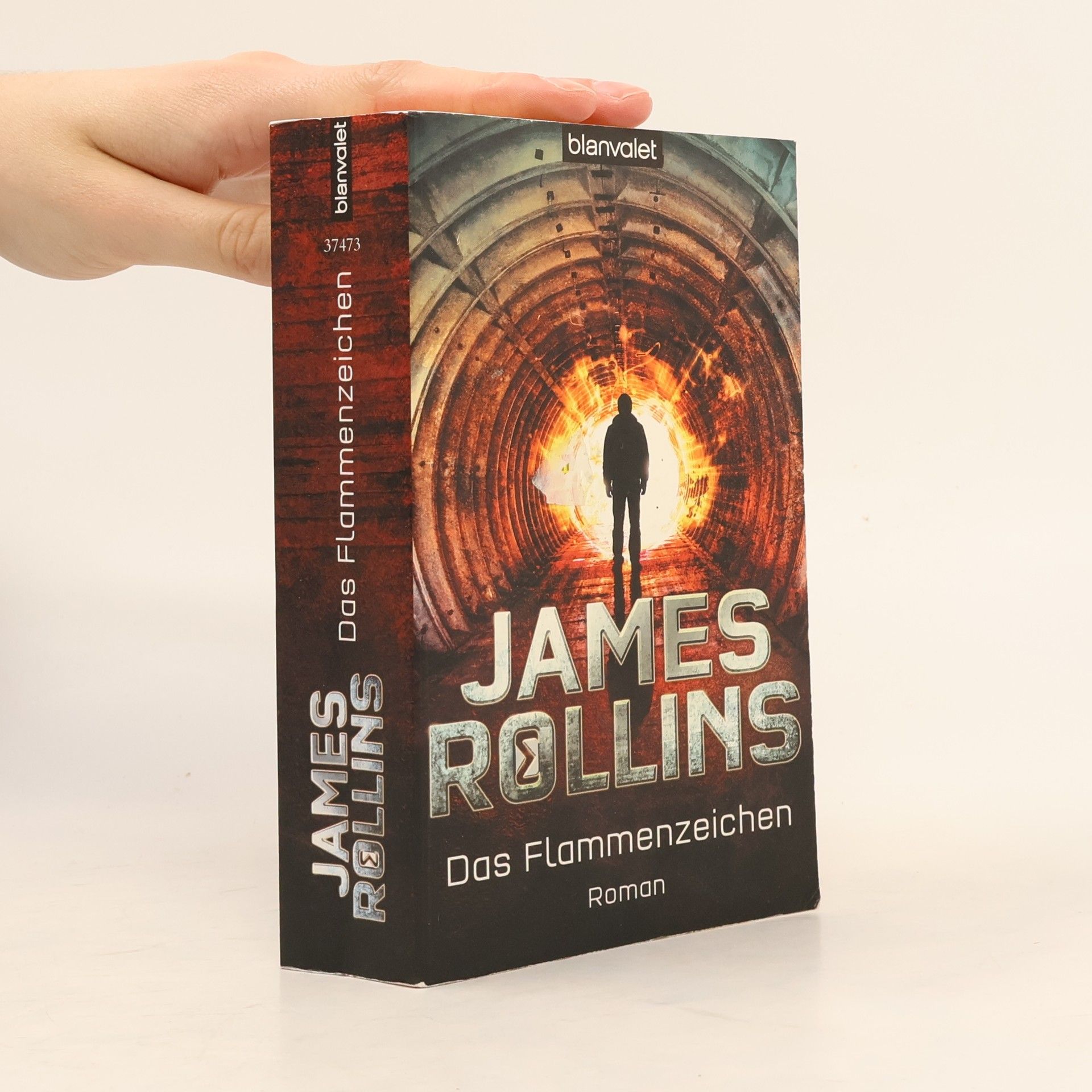 James Rollins Das Flammenzeichen