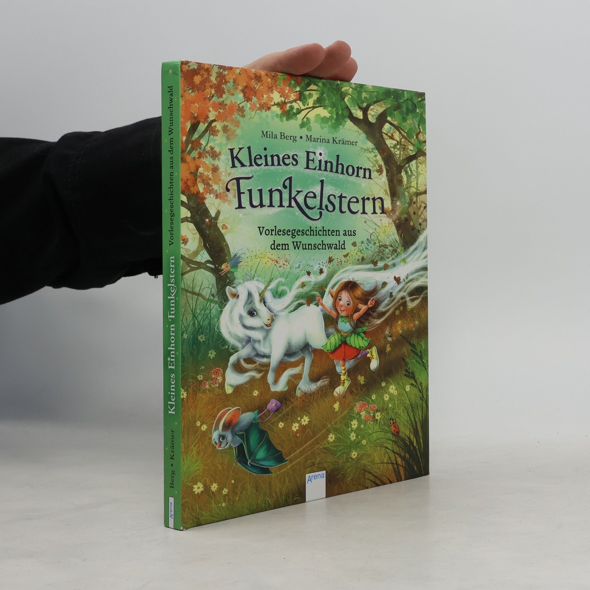 Kleines Einhorn Funkelstern. Vorlesegeschichten aus dem Wunschwald