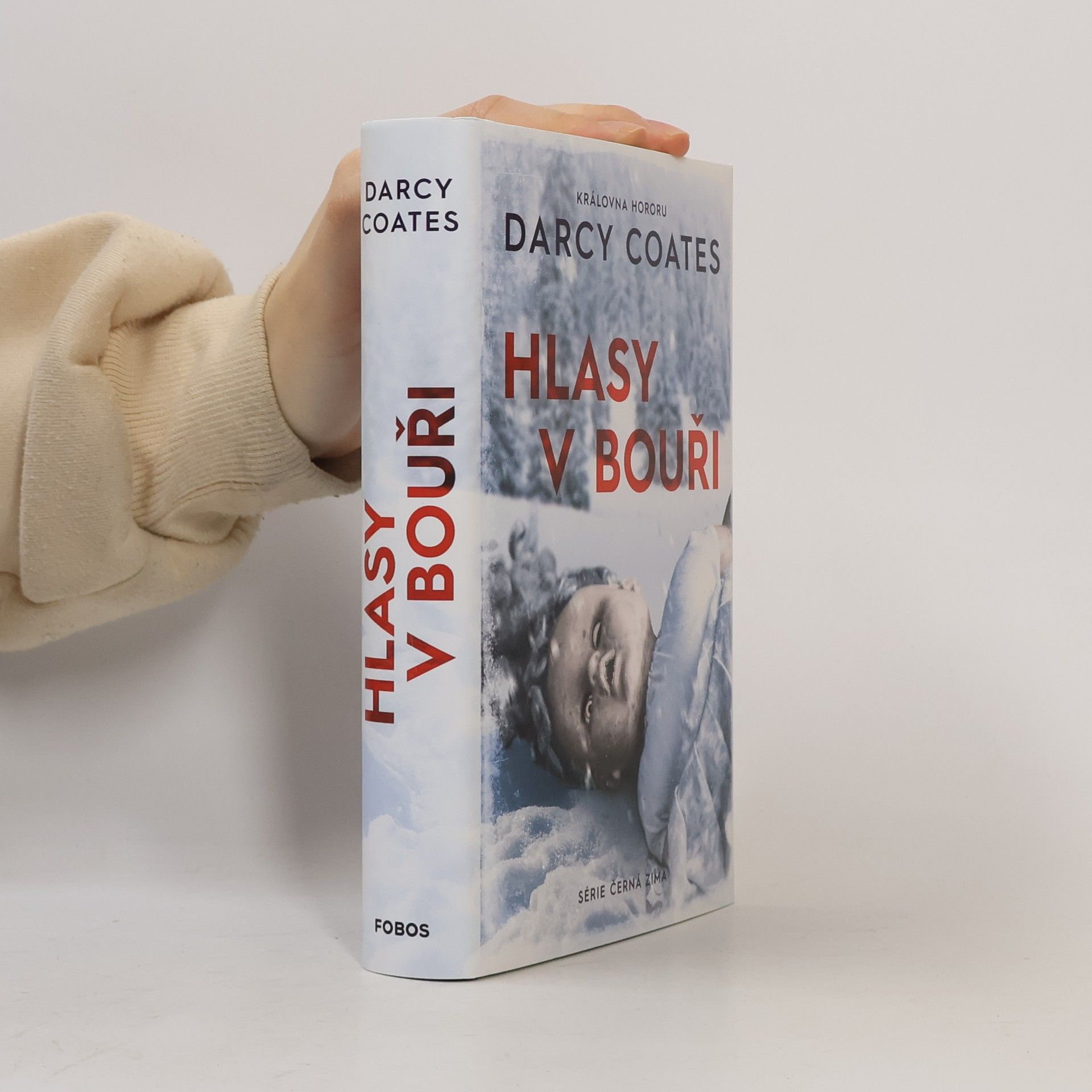 Darcy Coates Hlasy v bouři