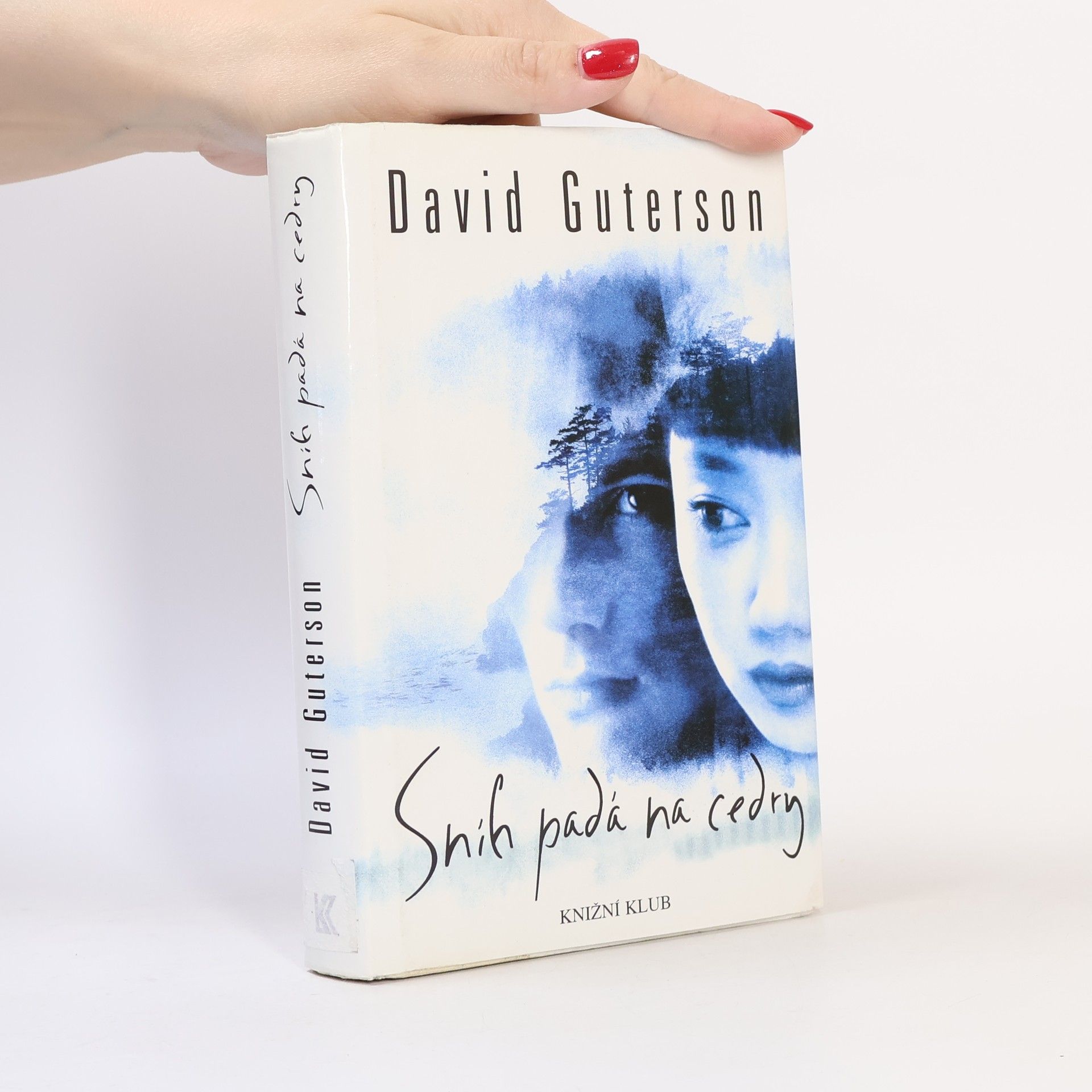David Guterson Sníh padá na cedry