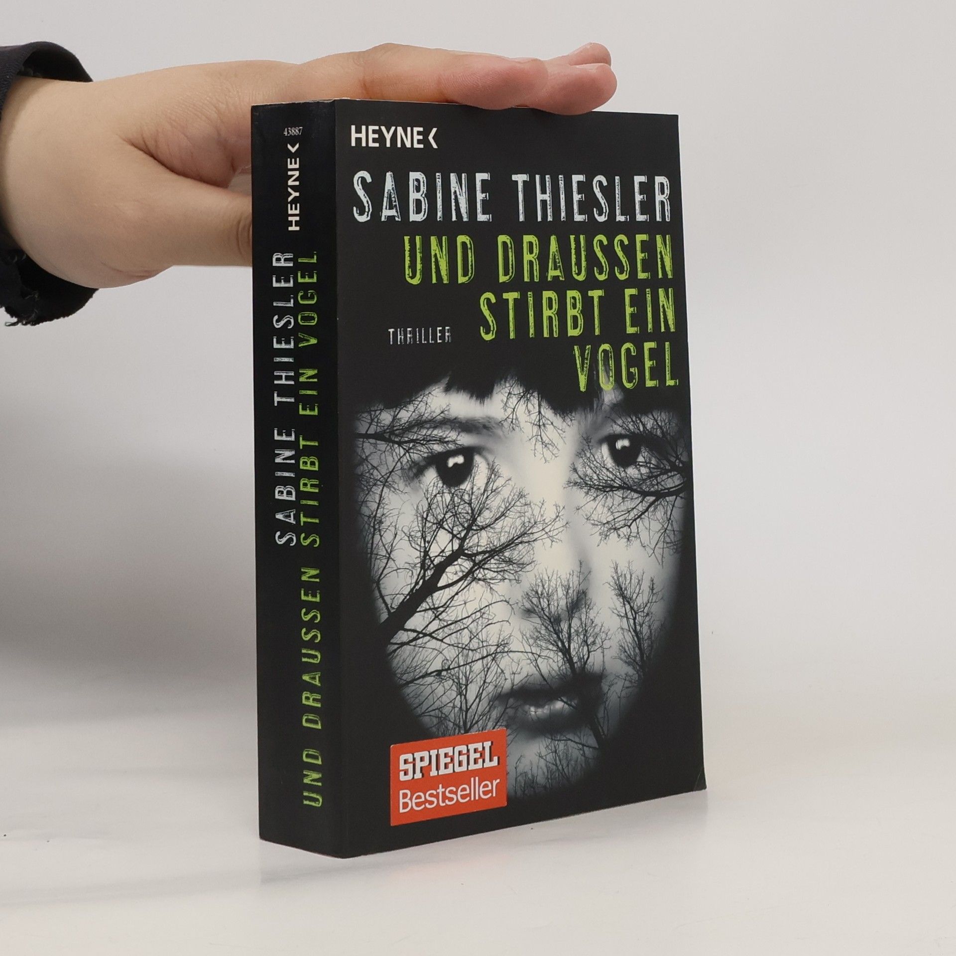 Sabine Thiesler Und draußen stirbt ein Vogel