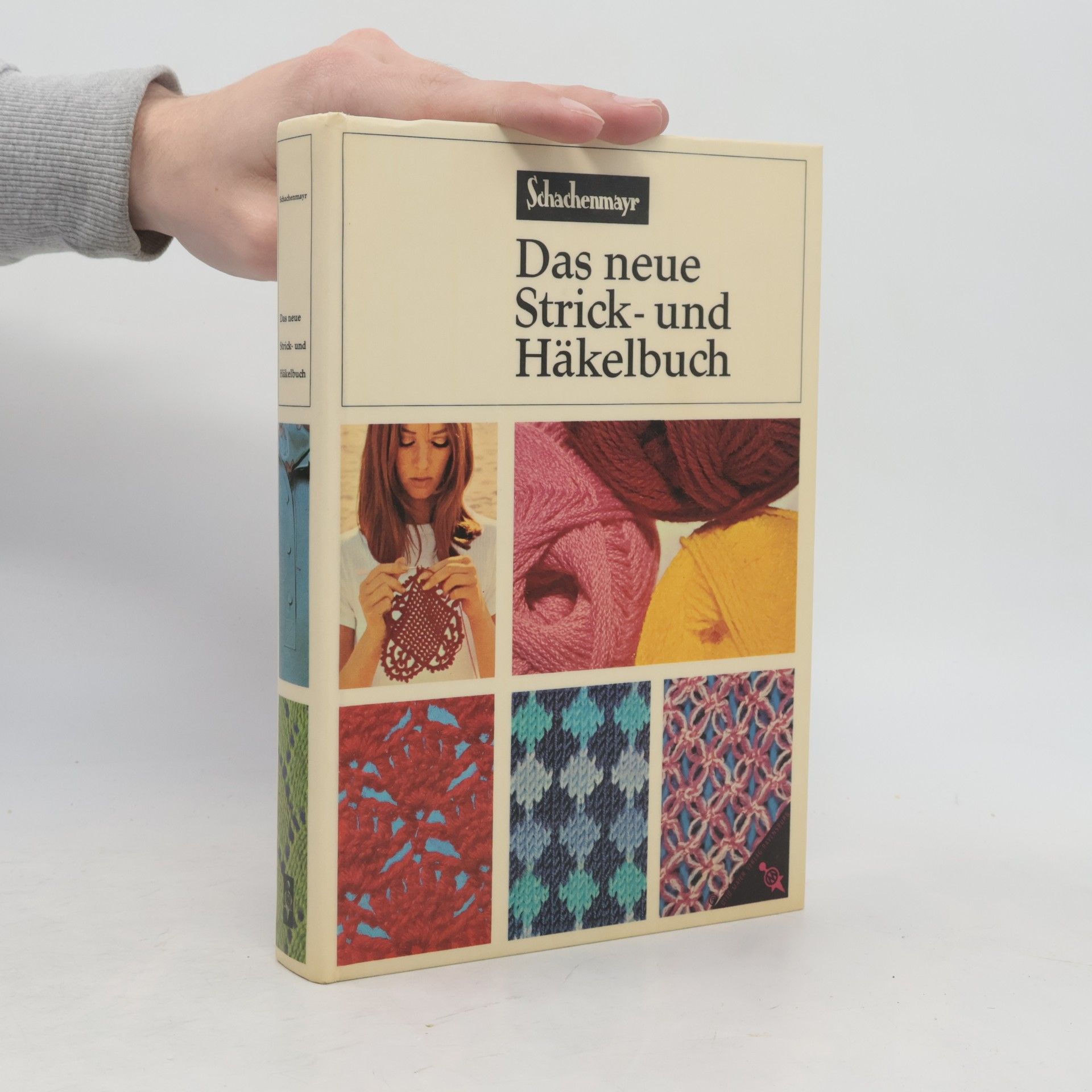 Kolektiv autorů Das neue Strick- und Häkelbuch