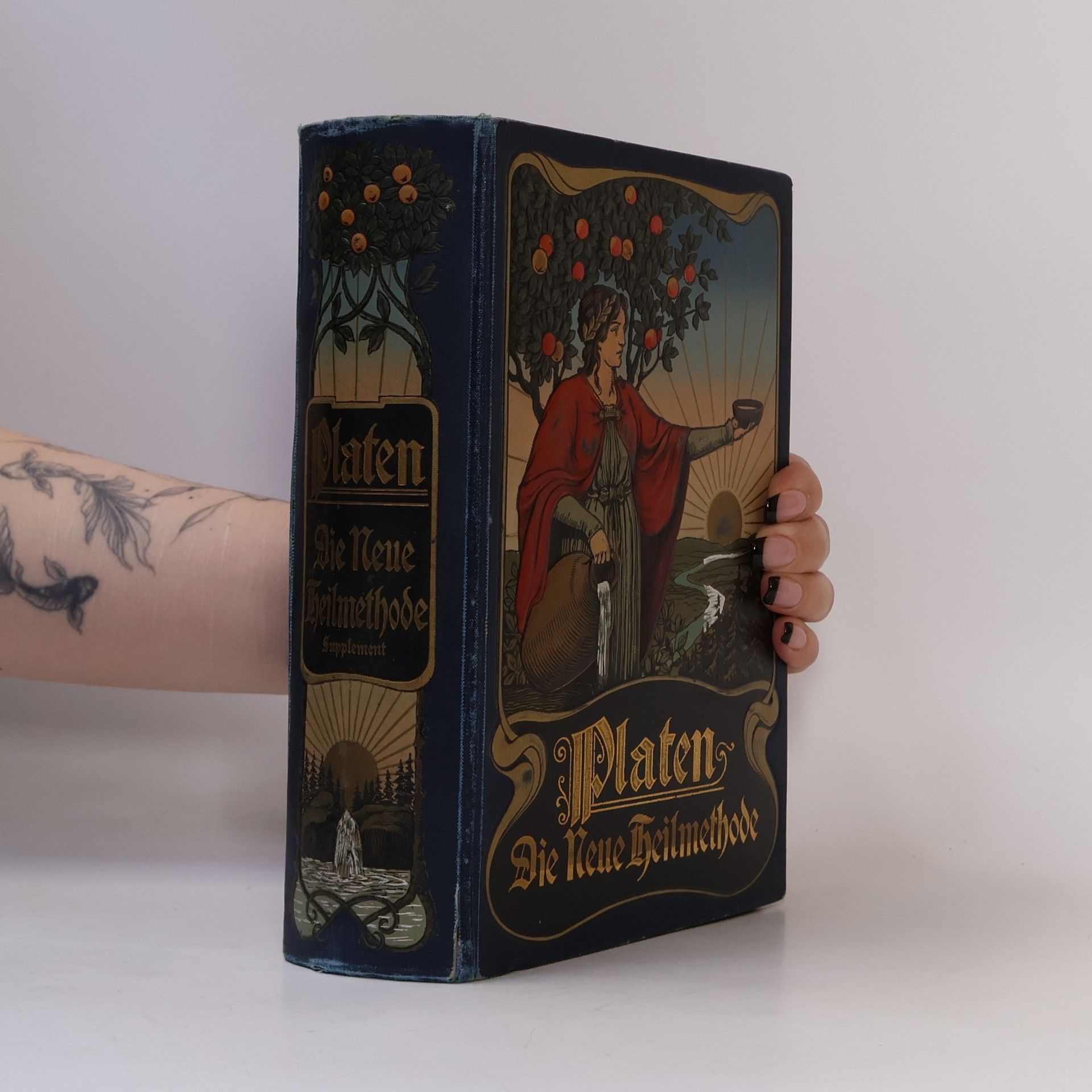 M. Platen Supplement zu Platen, Die Neue Heilmethode