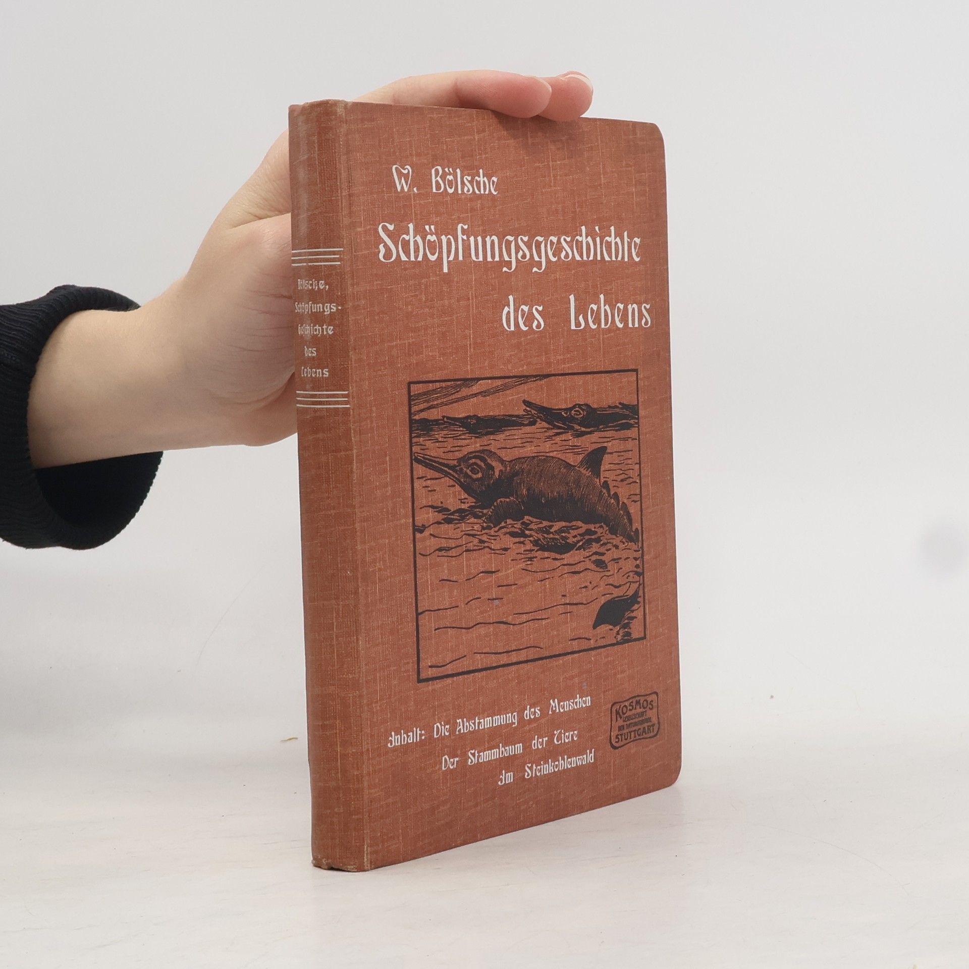 Schöpfungsgeschichte des Lebens