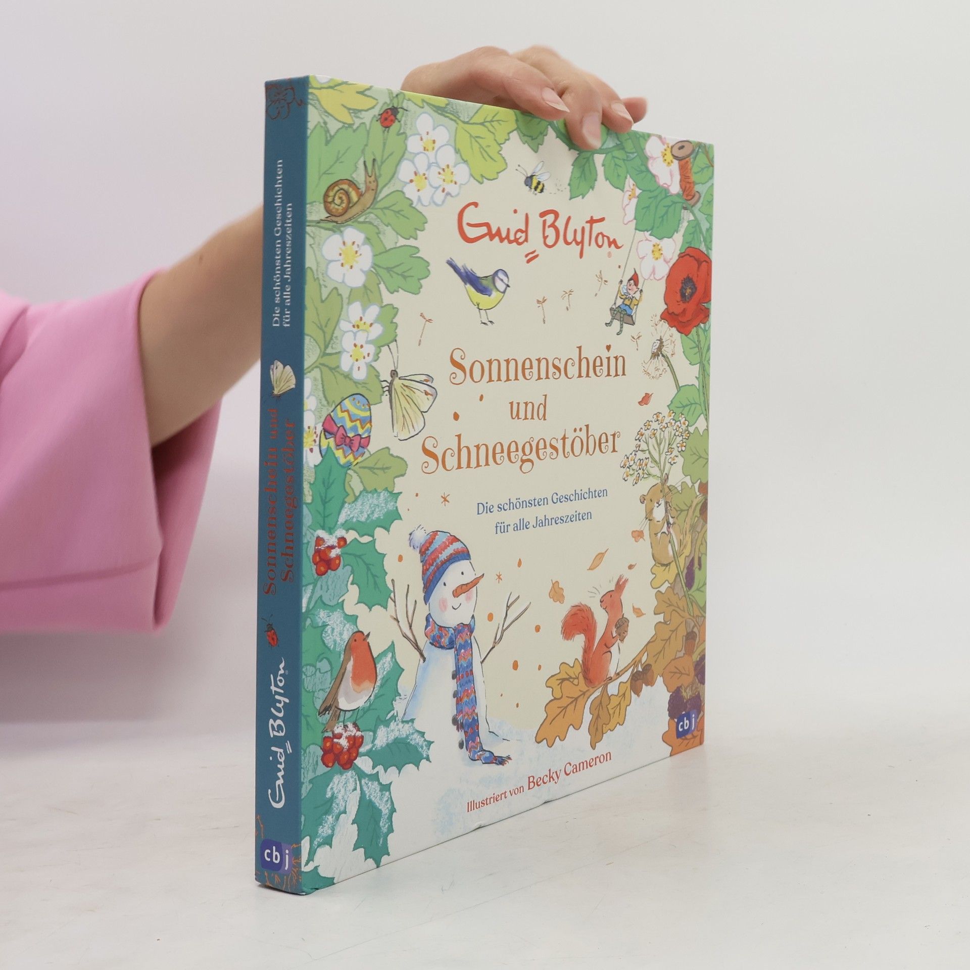 Enid Blyton Sonnenschein und Schneegestöber
