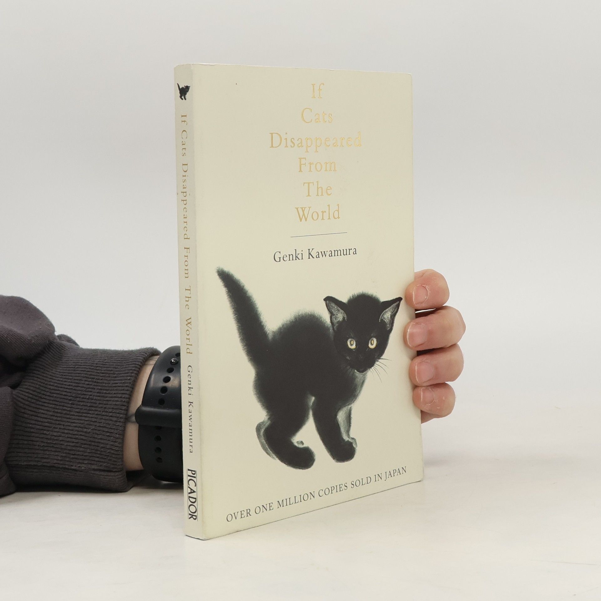 If Cats Disappeared from the World