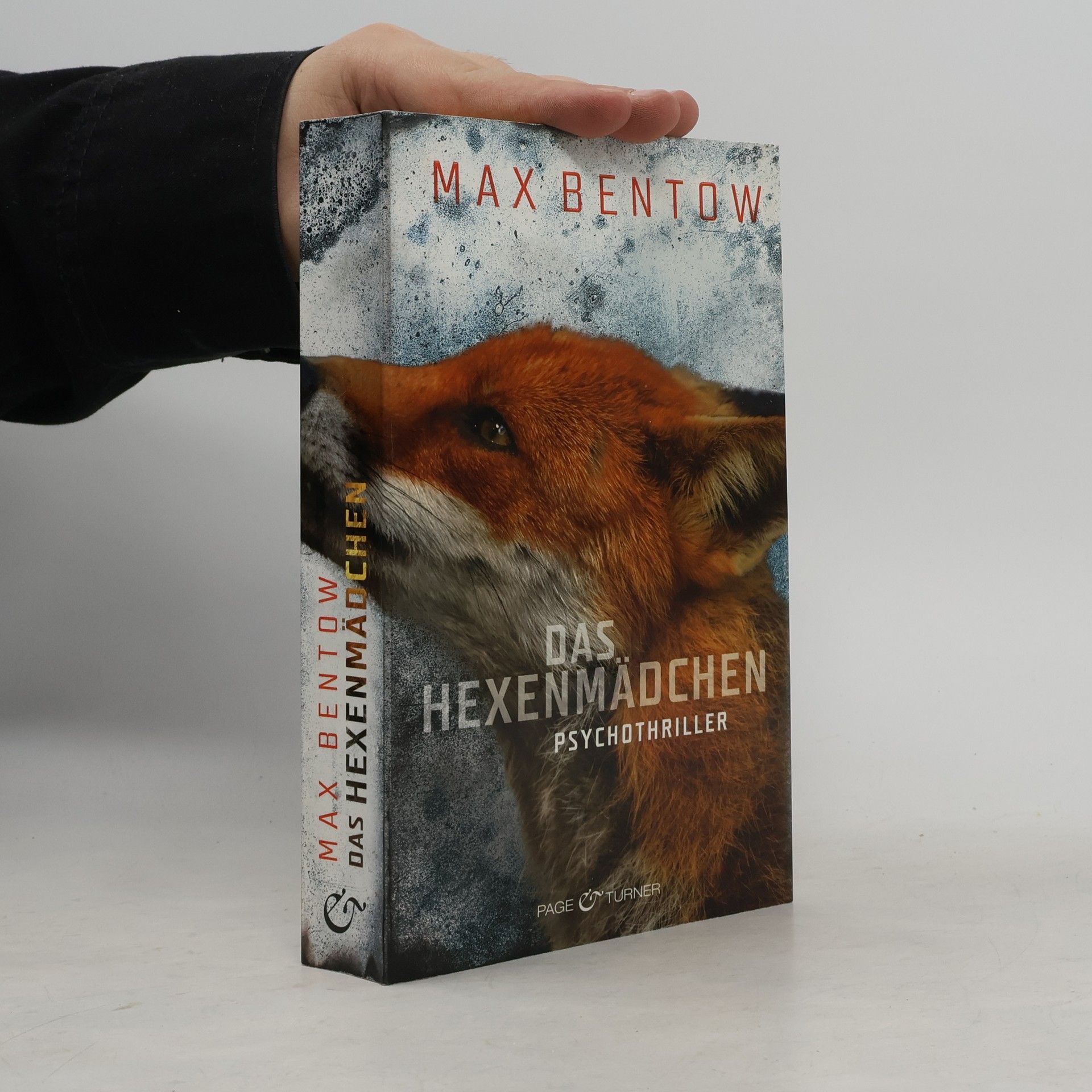 Max Bentow Das Hexenmädchen