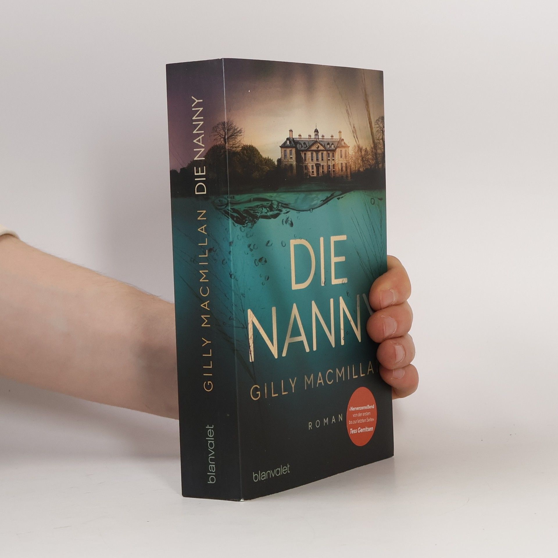 Gilly Macmillan Die Nanny