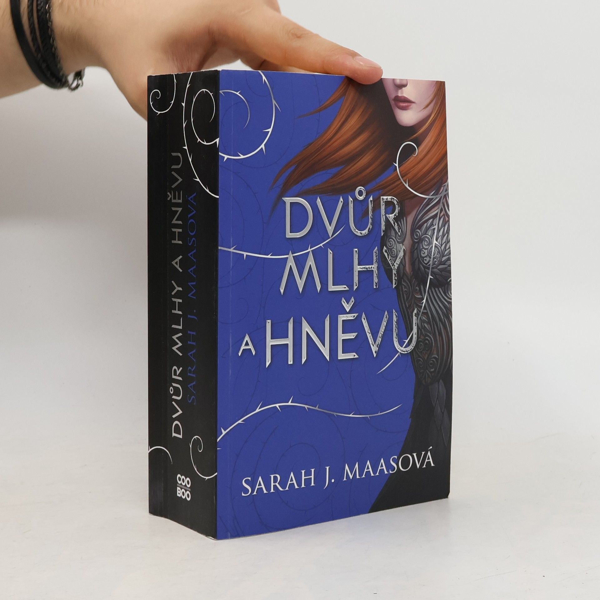 Sarah J. Maas Dvůr mlhy a hněvu