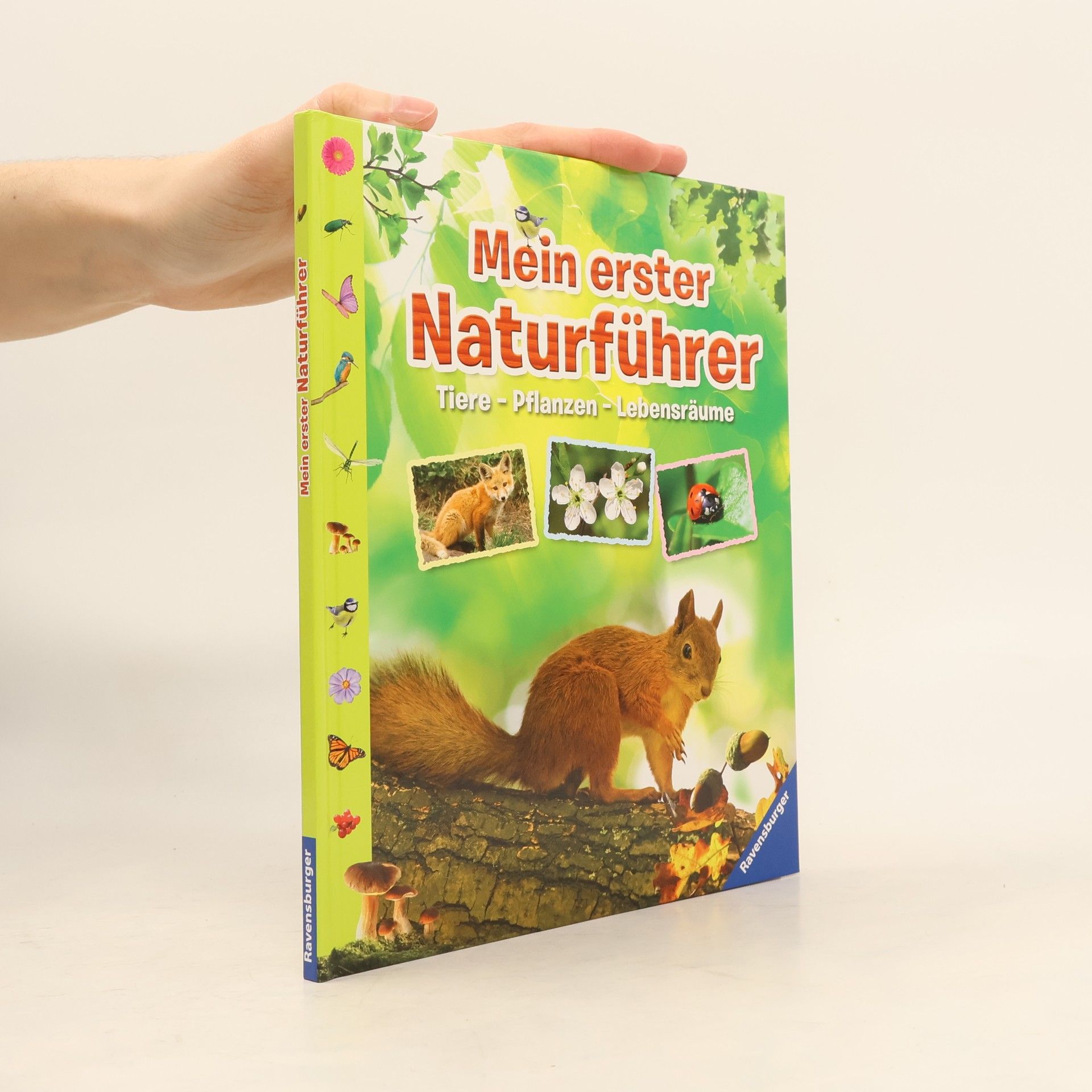 Angelika Lenz Mein erster Naturführer