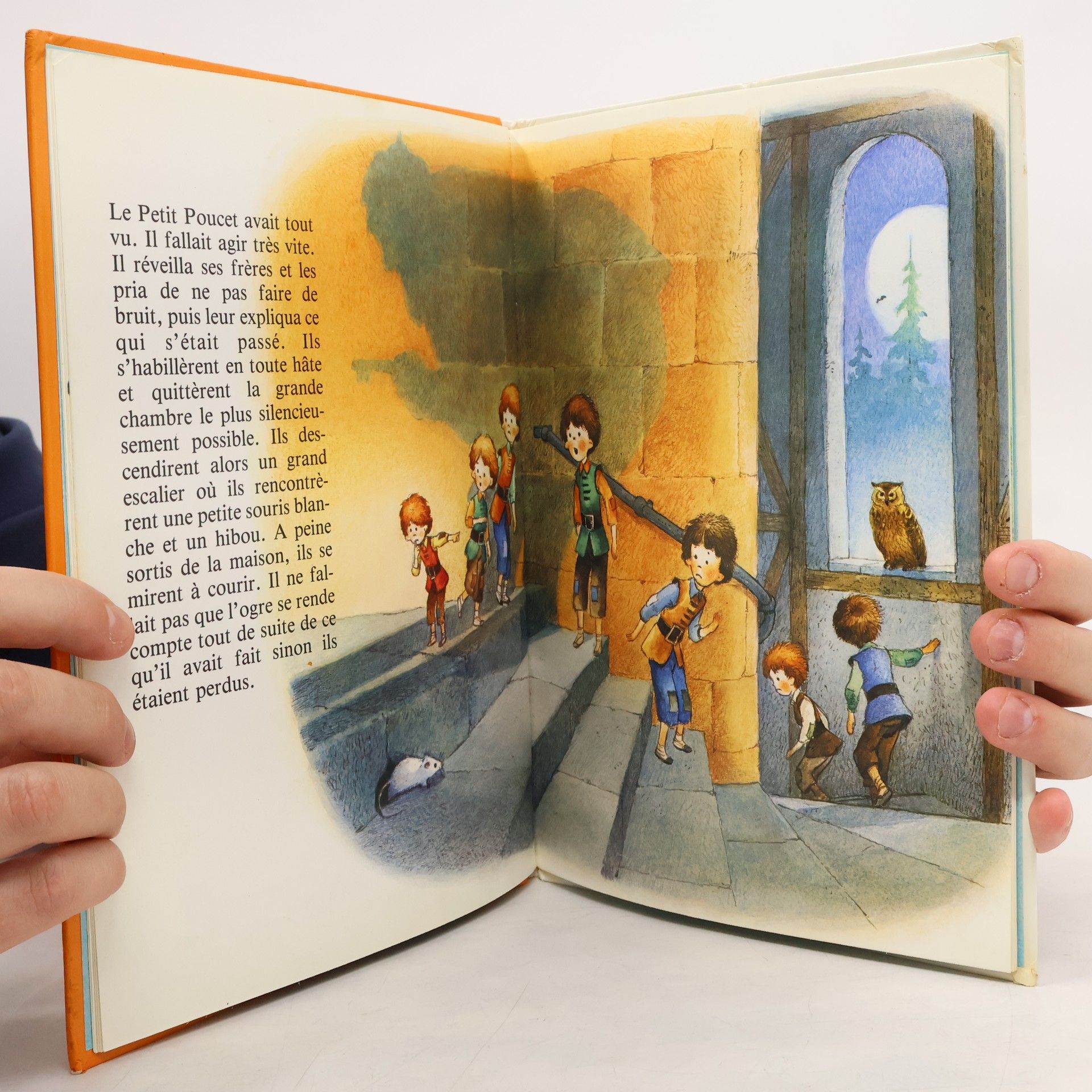 Autorenkollektiv Le Petit Poucet