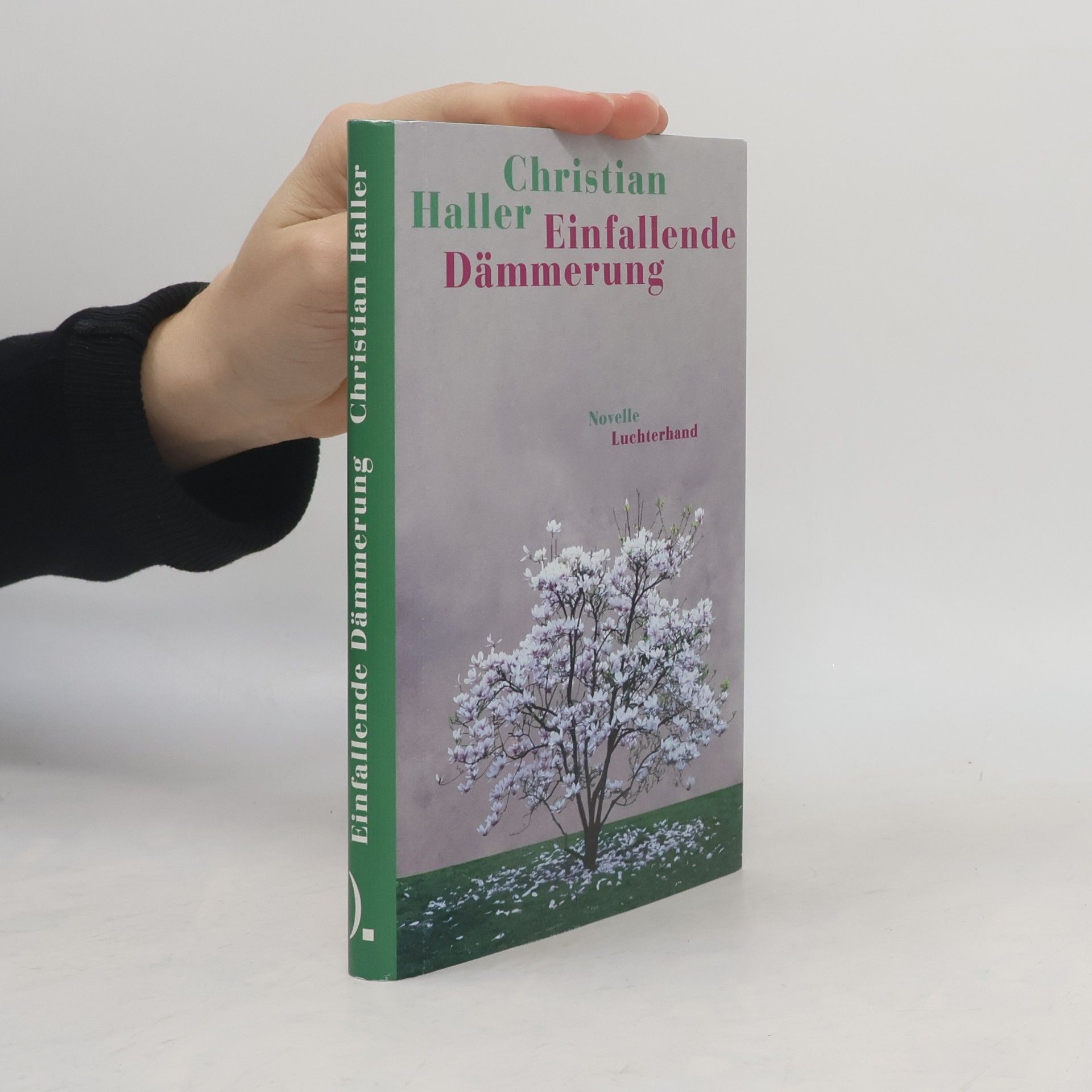 Einfallende Dämmerung