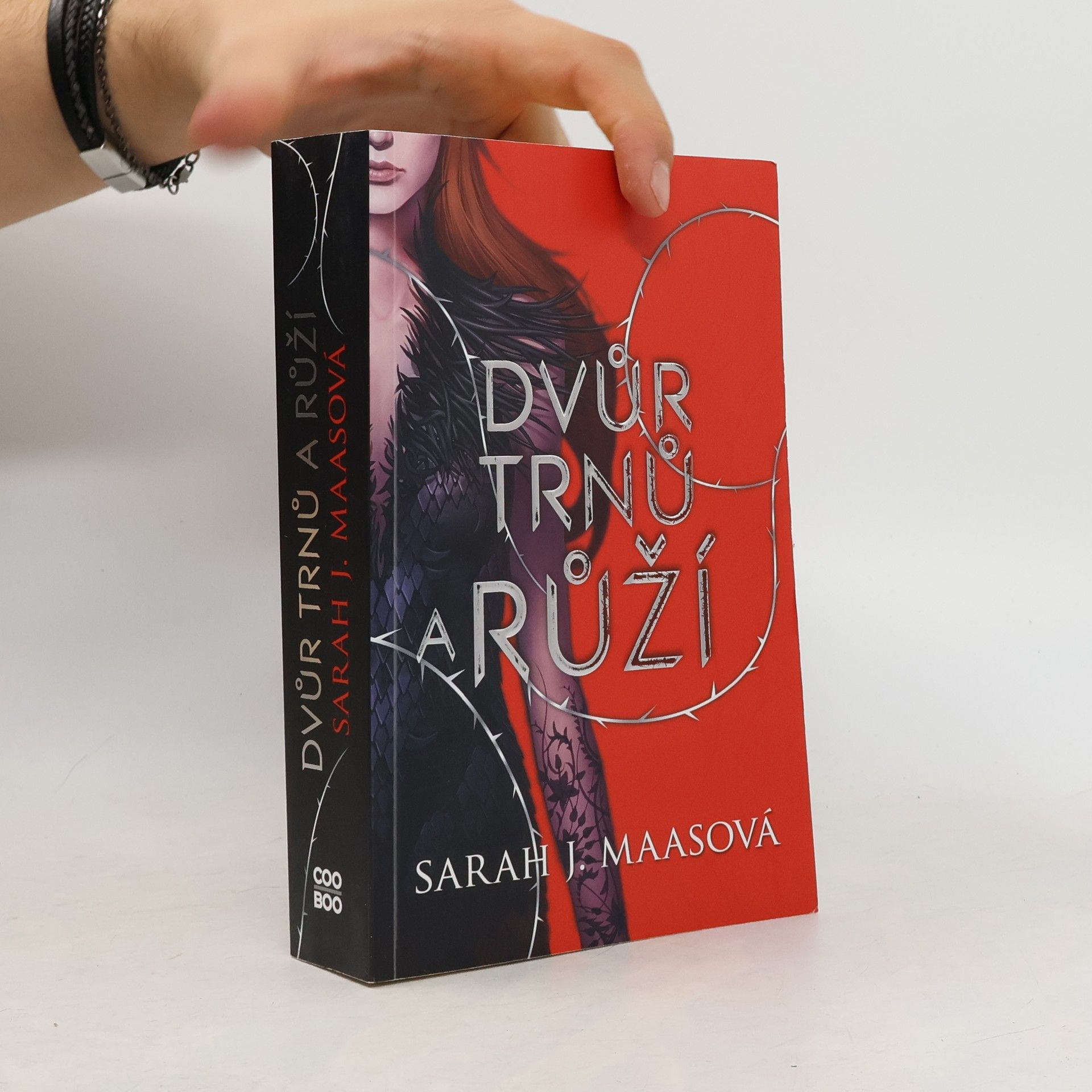 Sarah J. Maas Dvůr trnů a růží