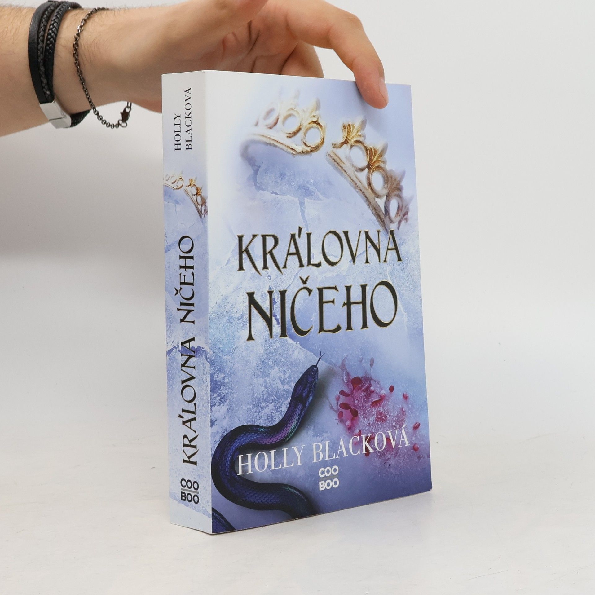 Holly Black Královna ničeho