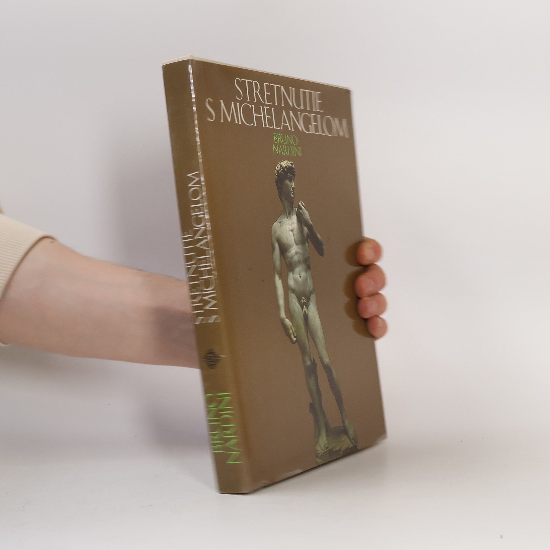 Bruno Nardini Stretnutie s Michelangelom