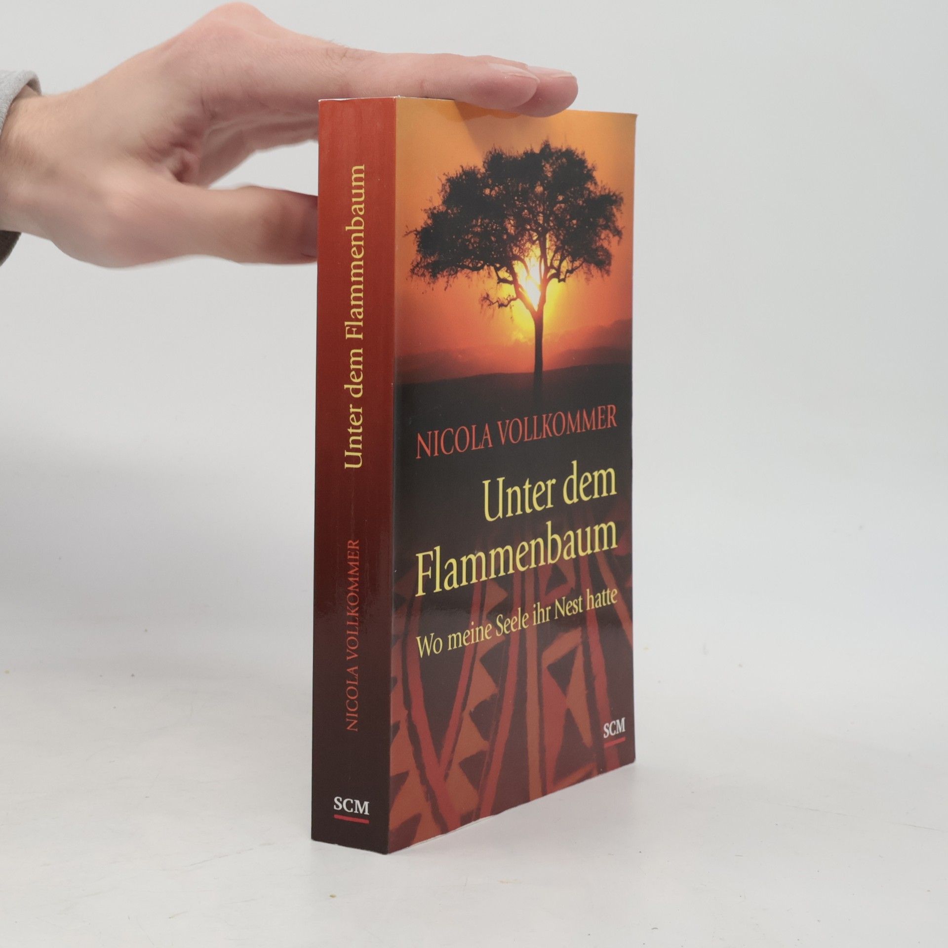 Nicola Vollkommer Unter dem Flammenbaum