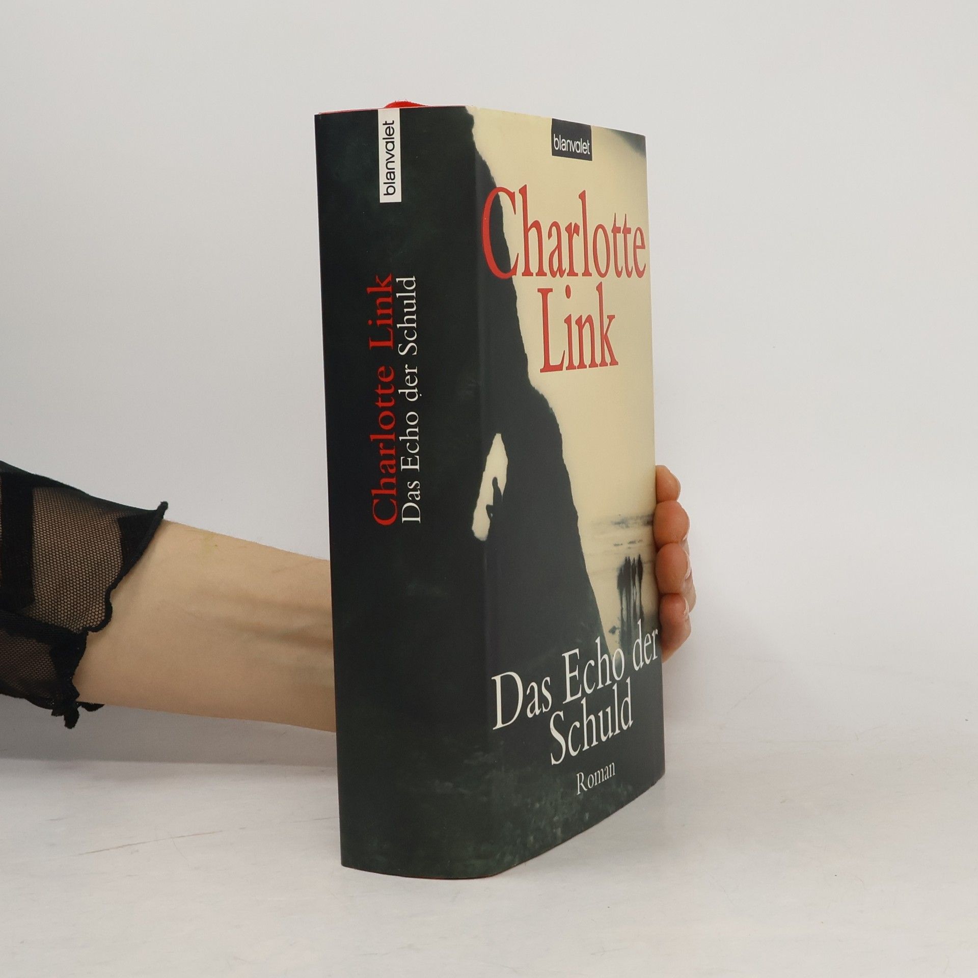 Charlotte Link Das Echo der Schuld