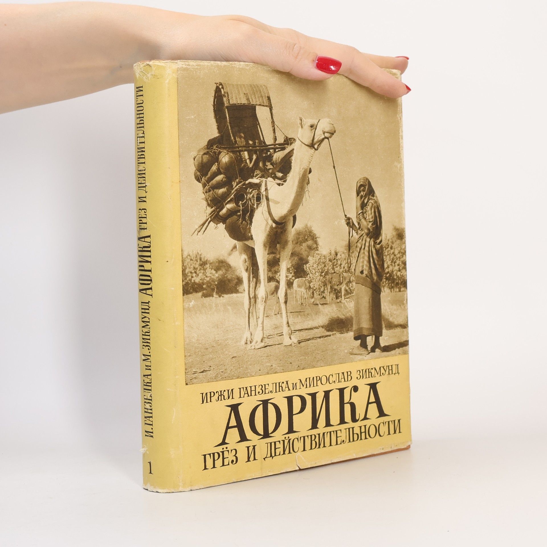 Африка грёз и действительности I