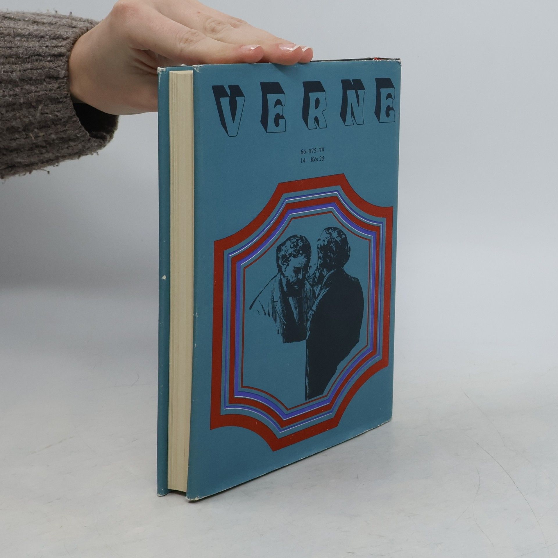 Jules Verne Bratia Kipovci