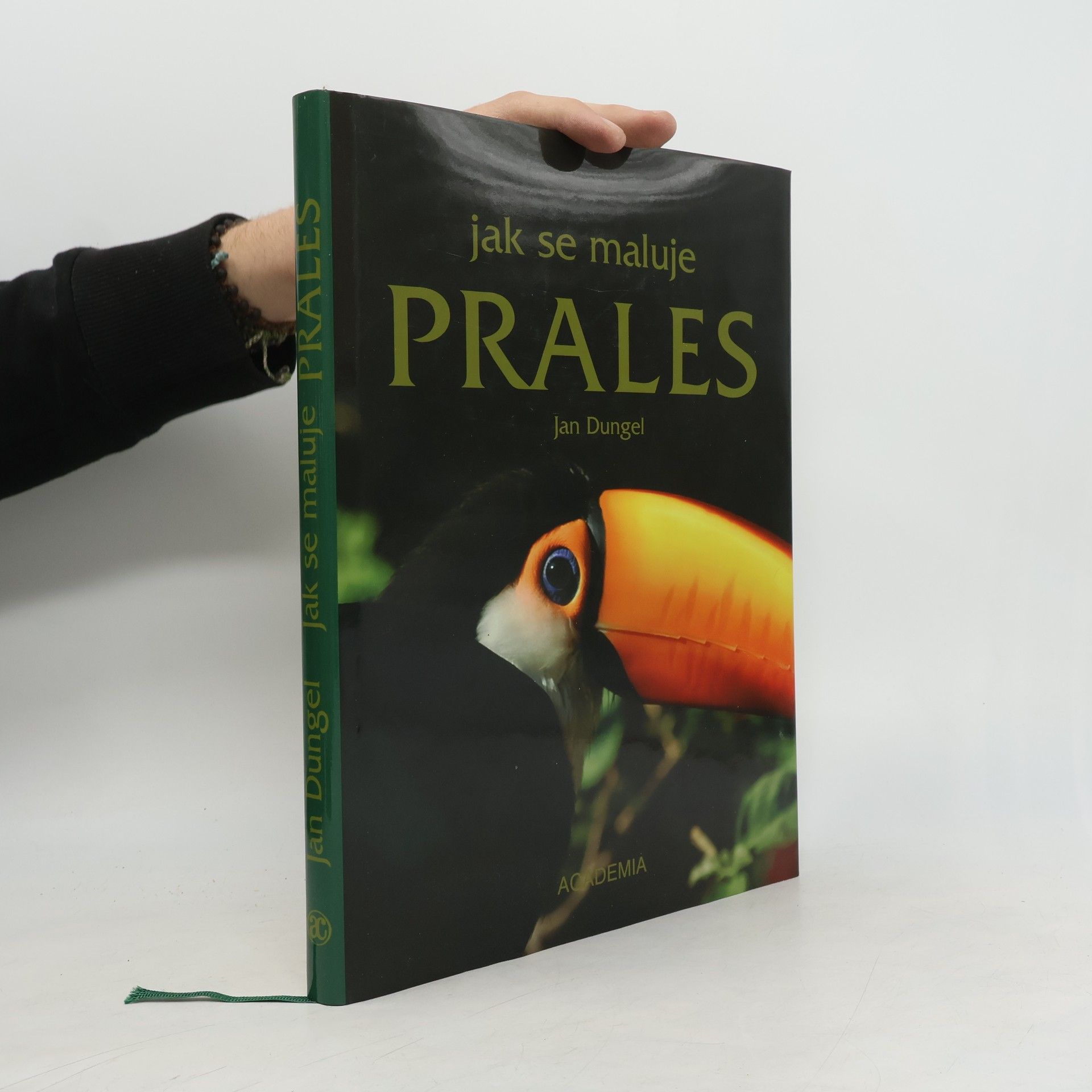 Jan Dungel Jak se maluje prales