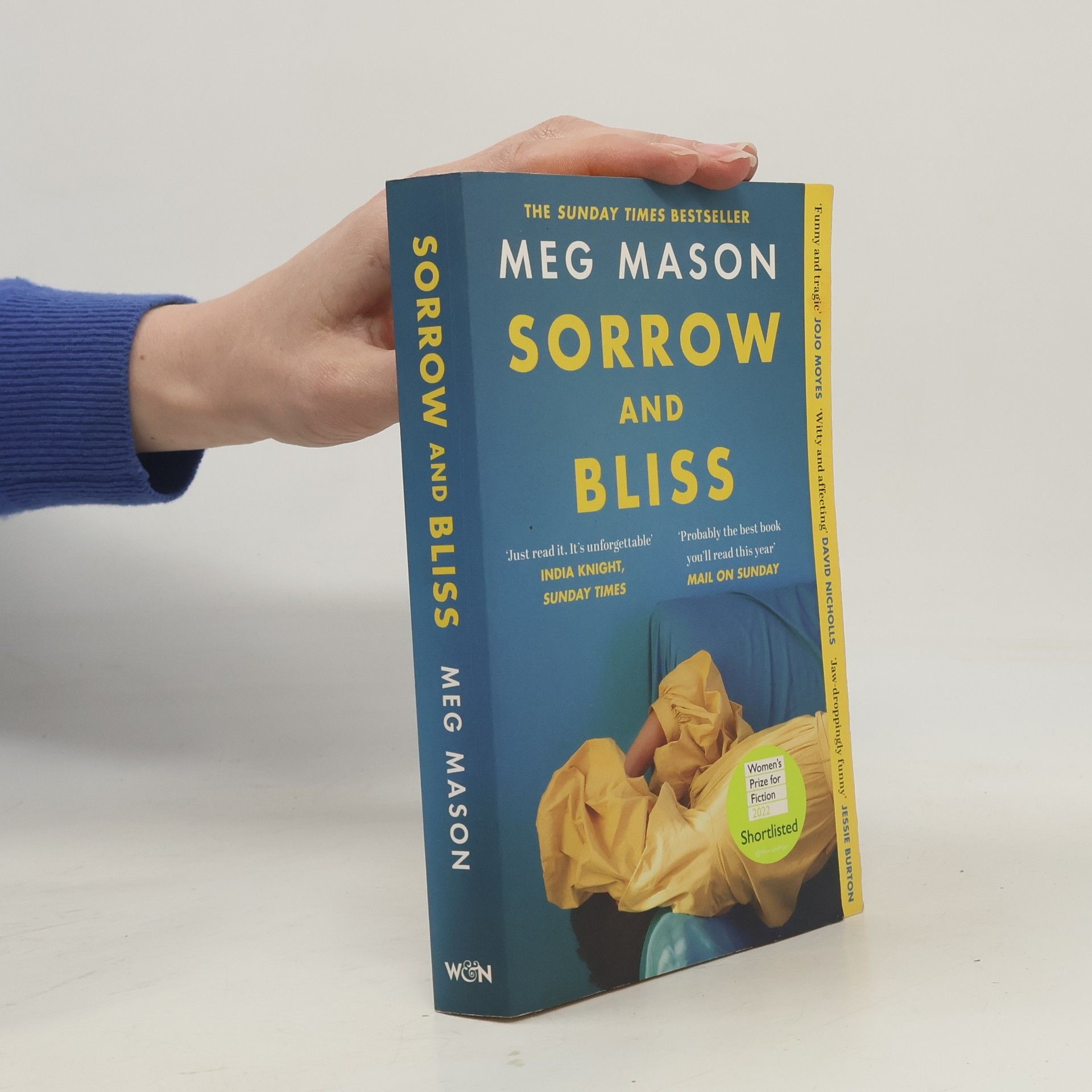 Meg Mason Sorrow and Bliss