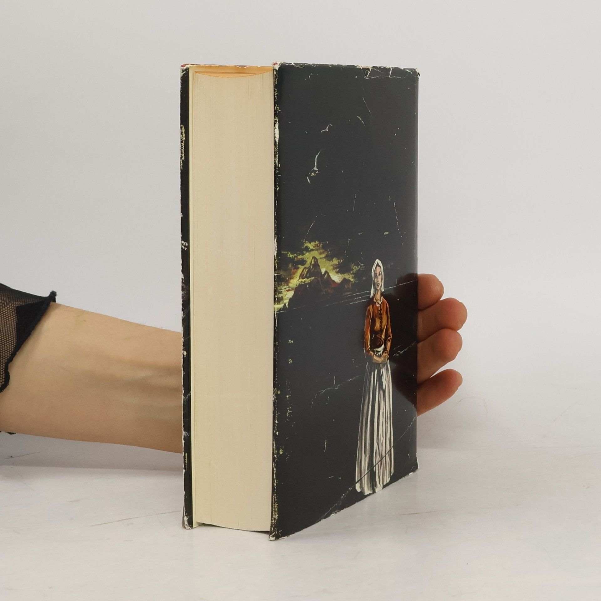 Alexandre Dumas Der Graf von Monte Cristo I
