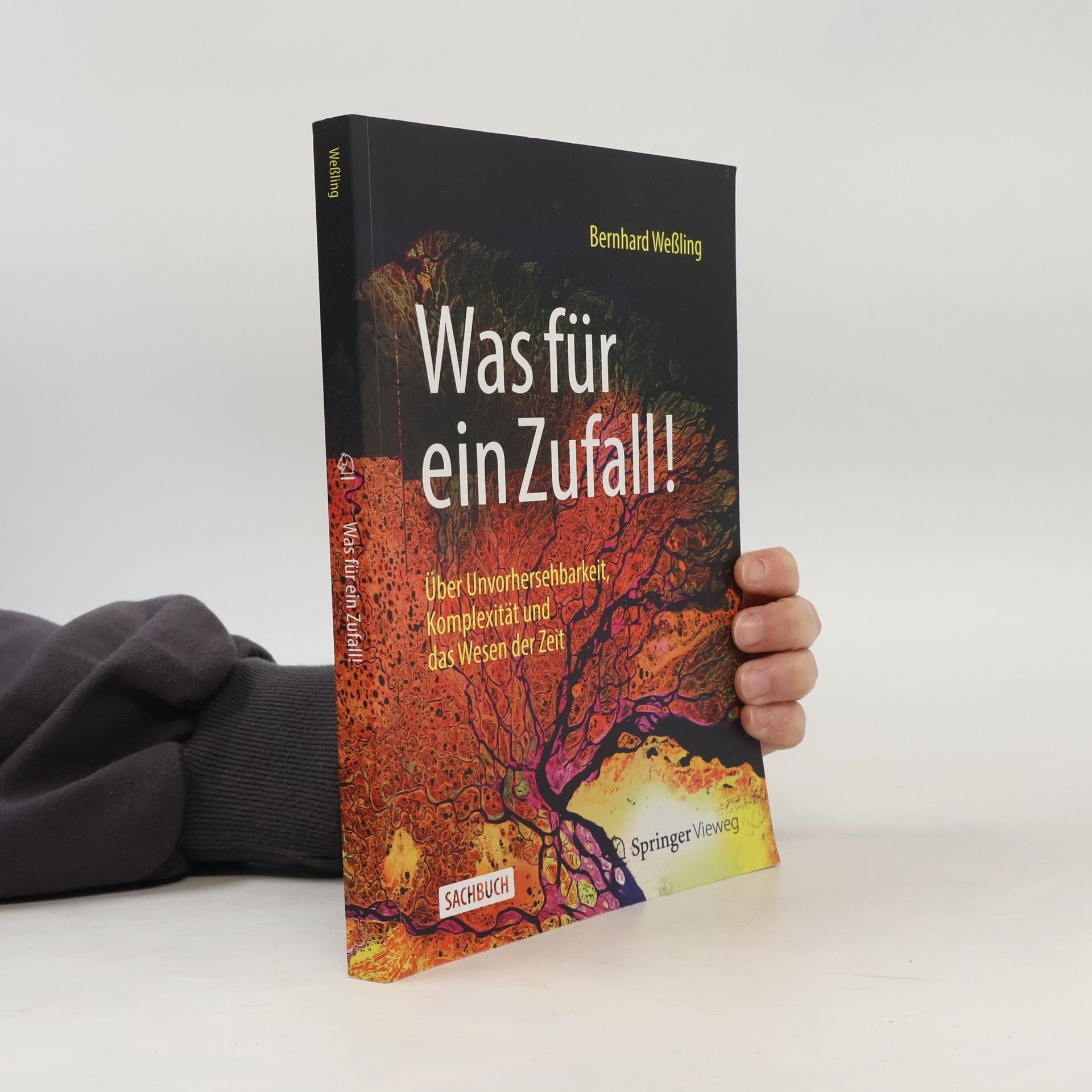 Bernhard Weßling Was für ein Zufall!