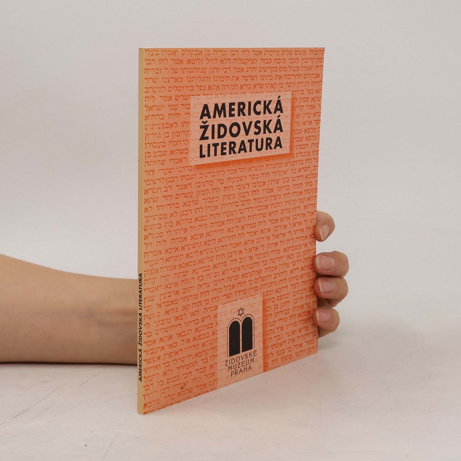 Hana Ulmanová Americká židovská literatura