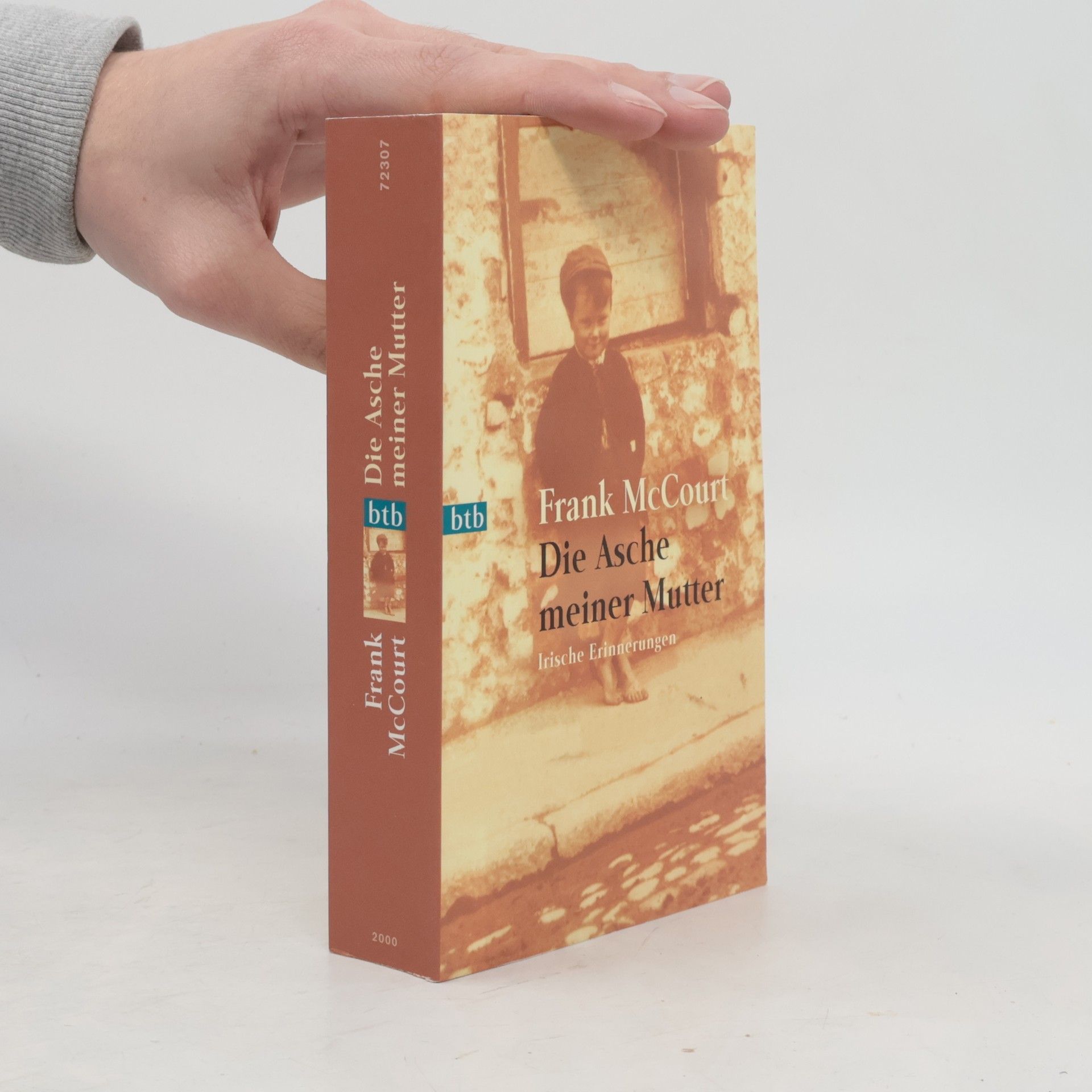 Frank McCourt Die Asche meiner Mutter