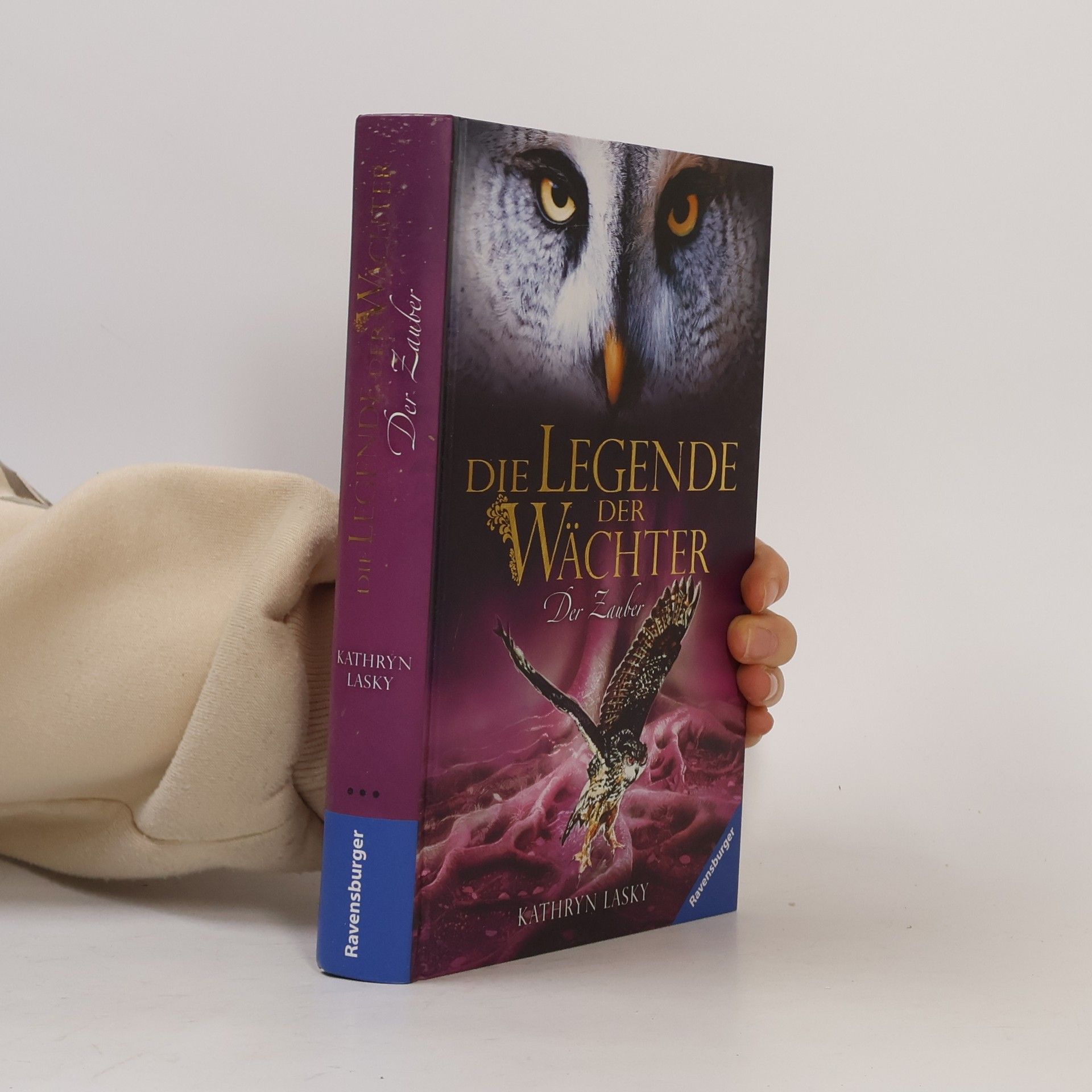 Die Legende der Wächter 12. Der Zauber