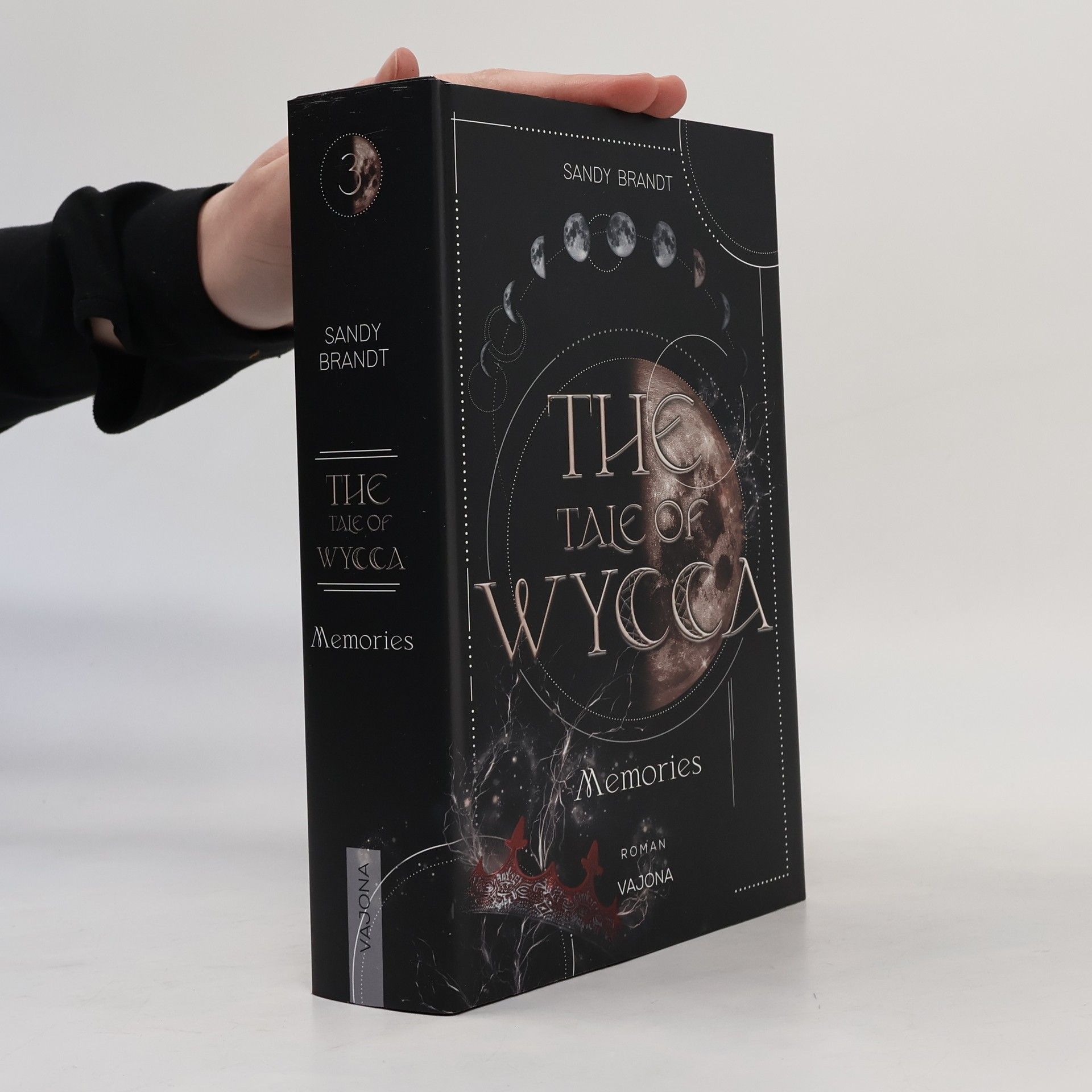 Sandy Brandt THE TALE OF WYCCA: Memories (WYCCA-Reihe 3)
