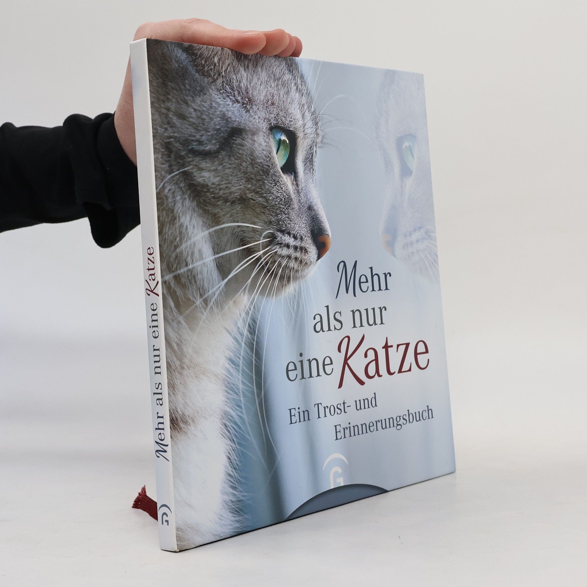 Kristin Hoffmann Mehr als nur eine Katze