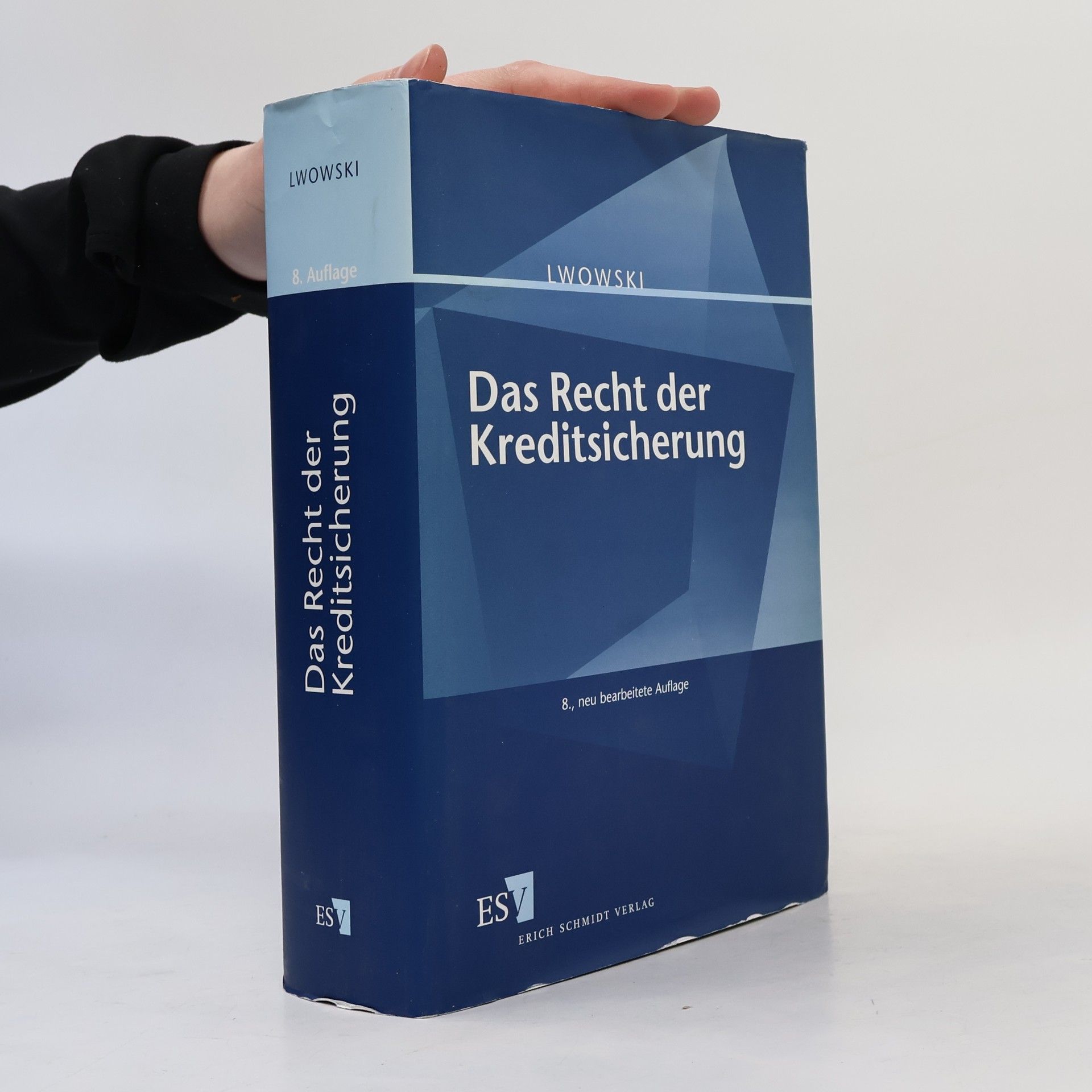 Hans-Jürgen Lwowski Das Recht der Kreditsicherung - 8., neu bearbeitete Auflage