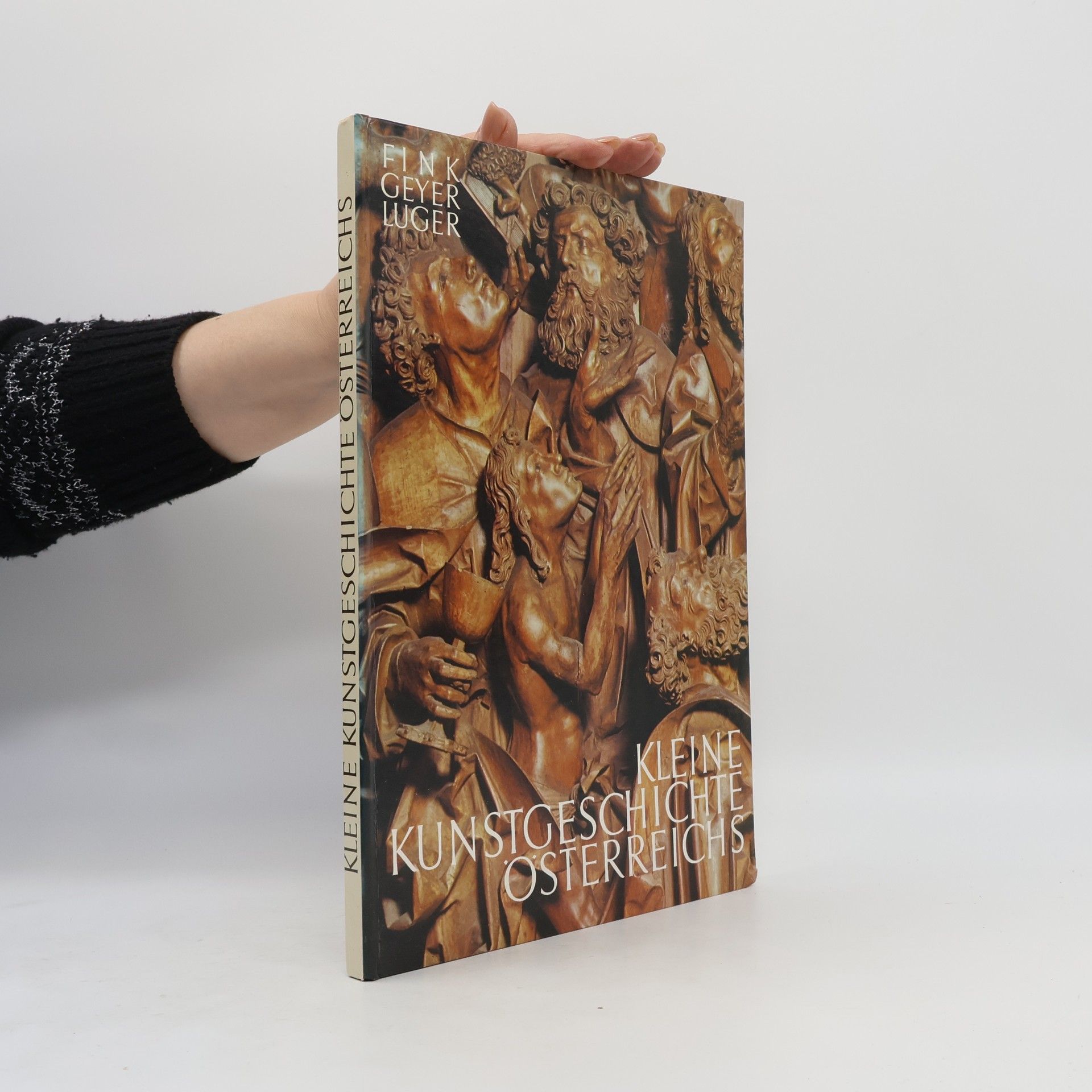 Franz Luger Kleine Kunstgeschichte Österreichs