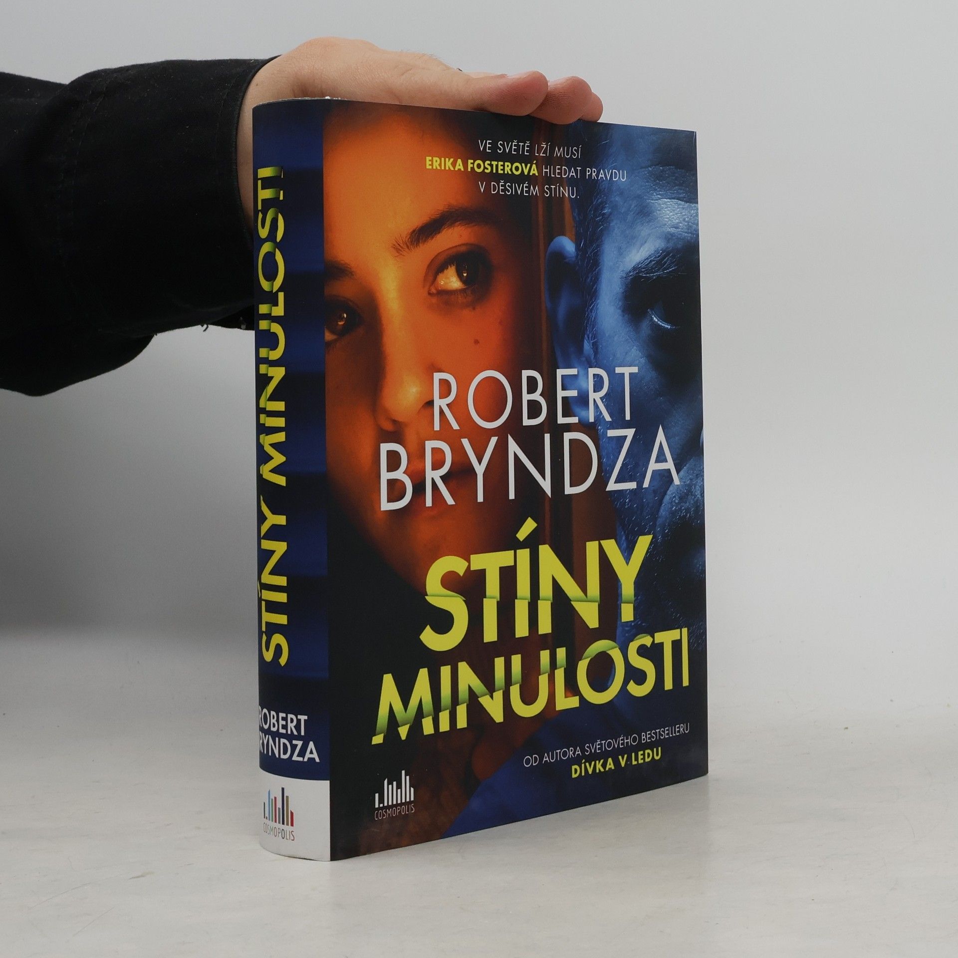 Robert Bryndza Stíny minulosti