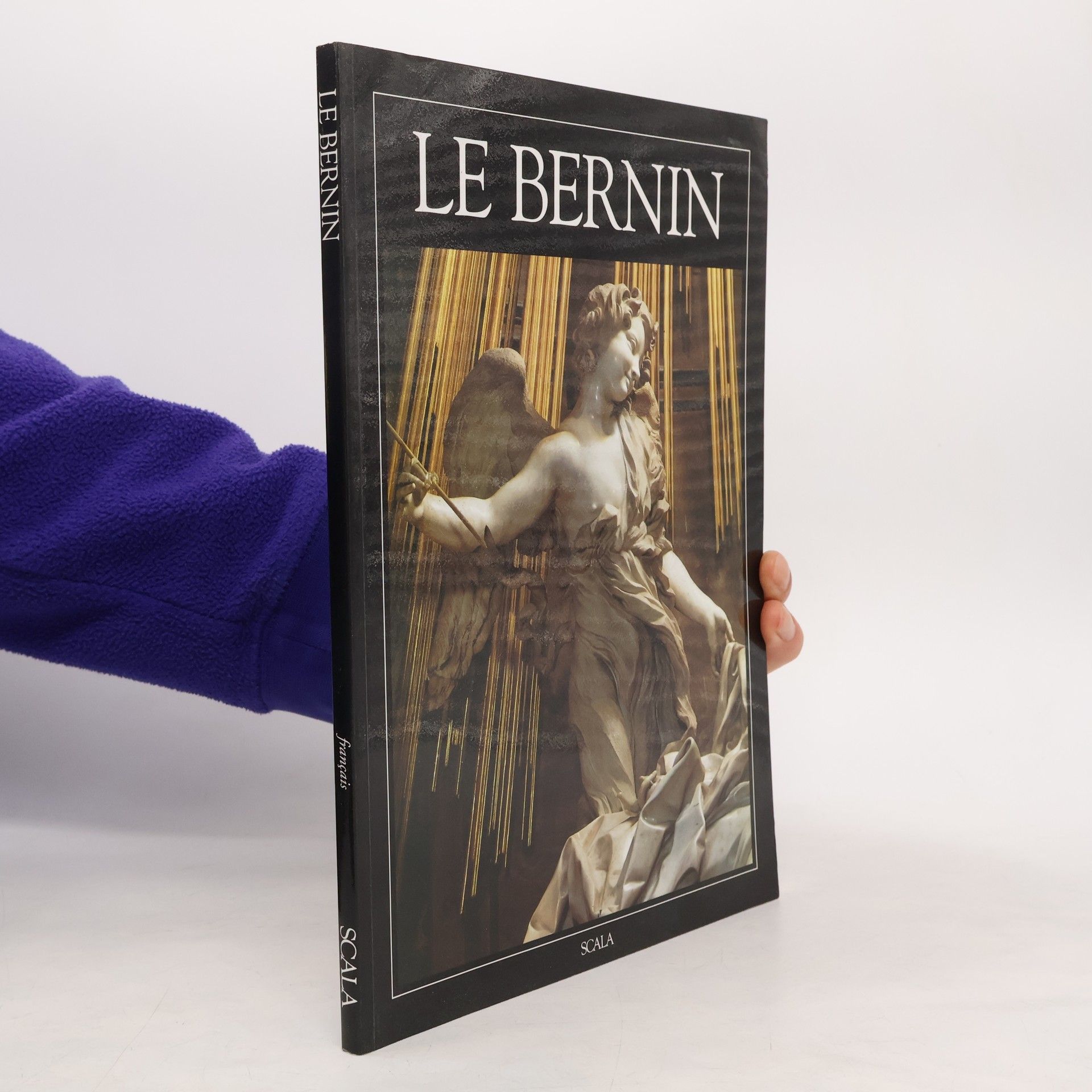 Kolektiv autorů Le Bernin