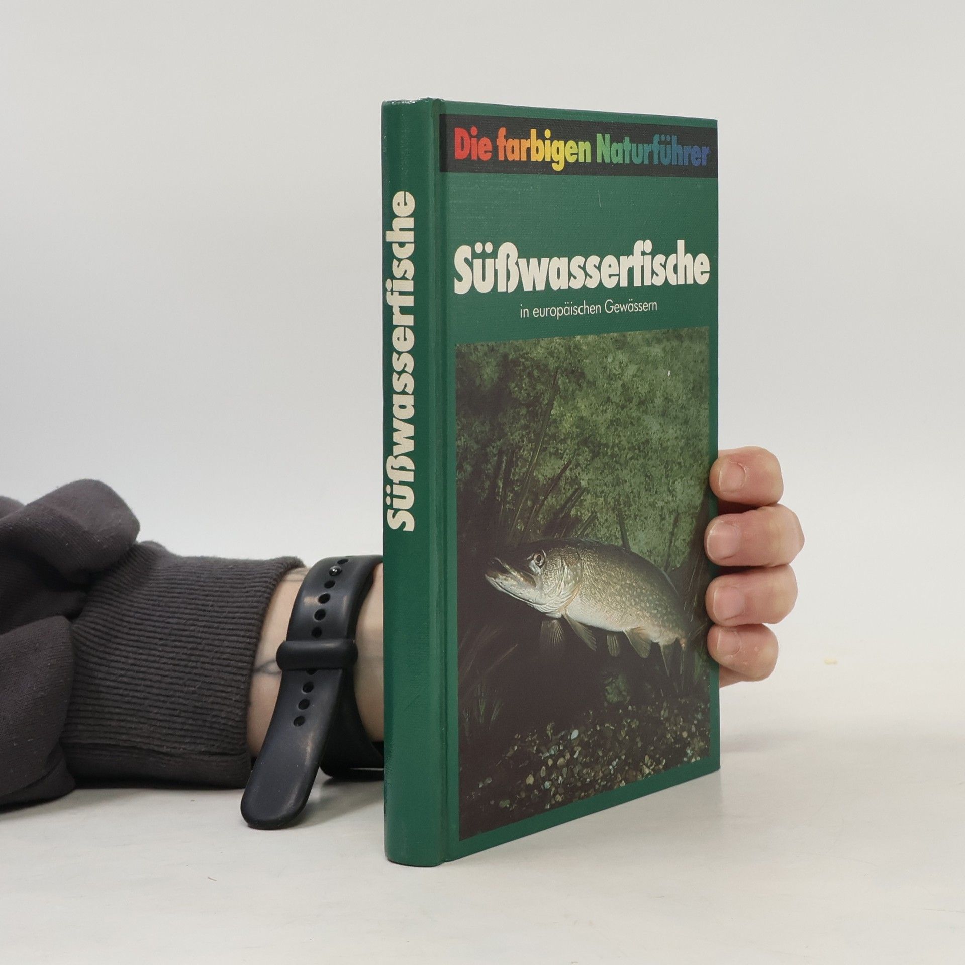 Autorenkollektiv Süßwasserfische in europäischen Gewässern