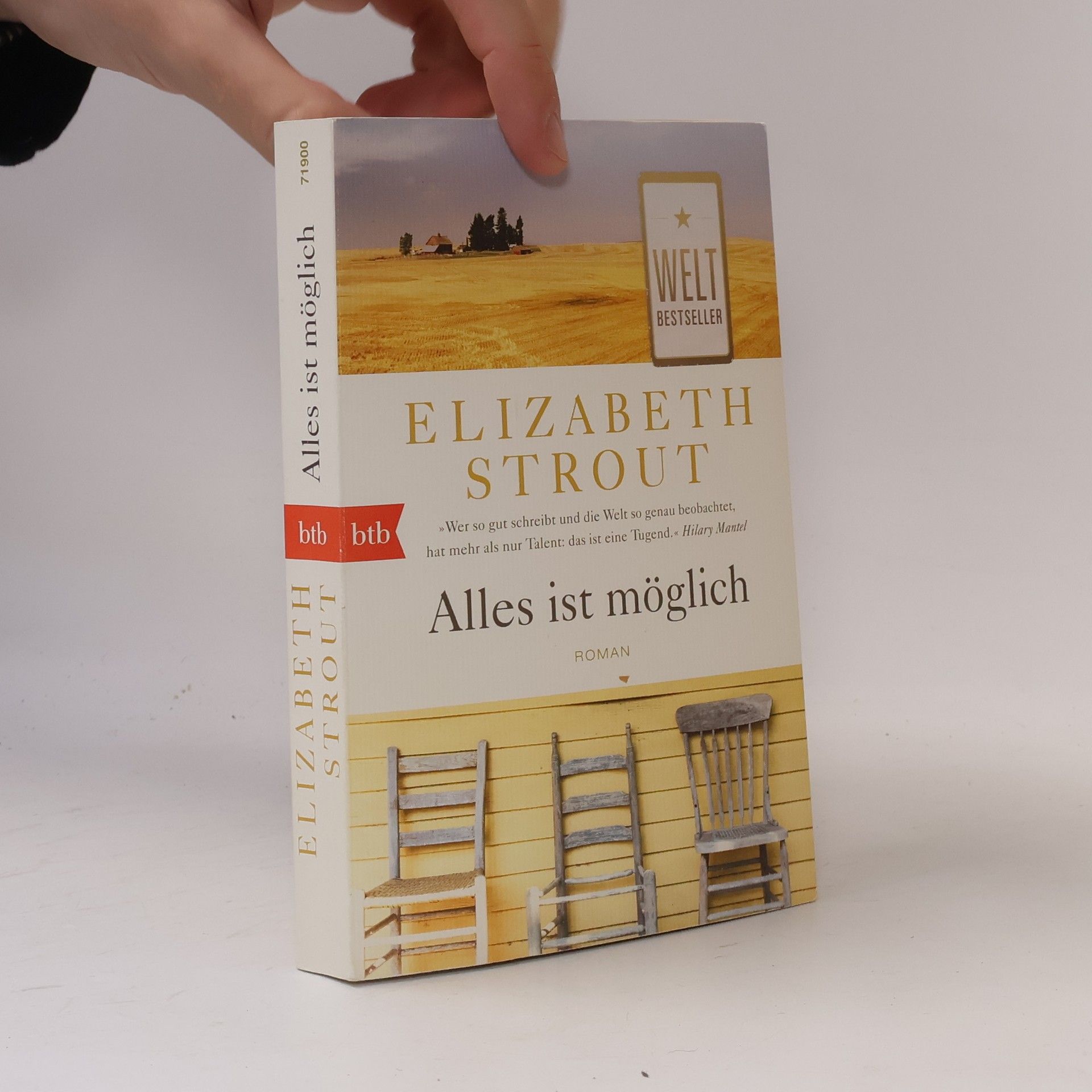Elizabeth Strout Alles ist möglich