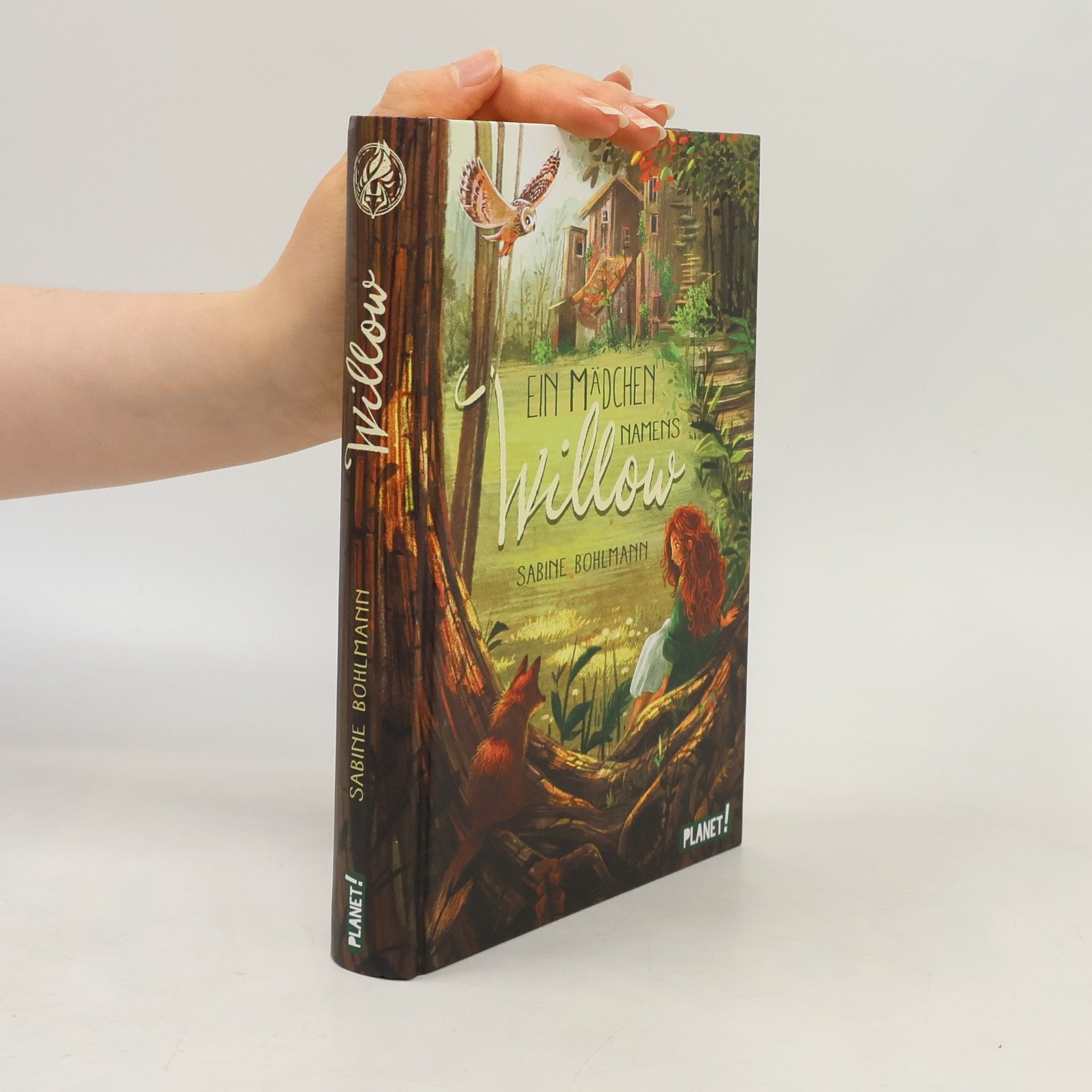 Sabine Bohlmann Ein Mädchen namens Willow