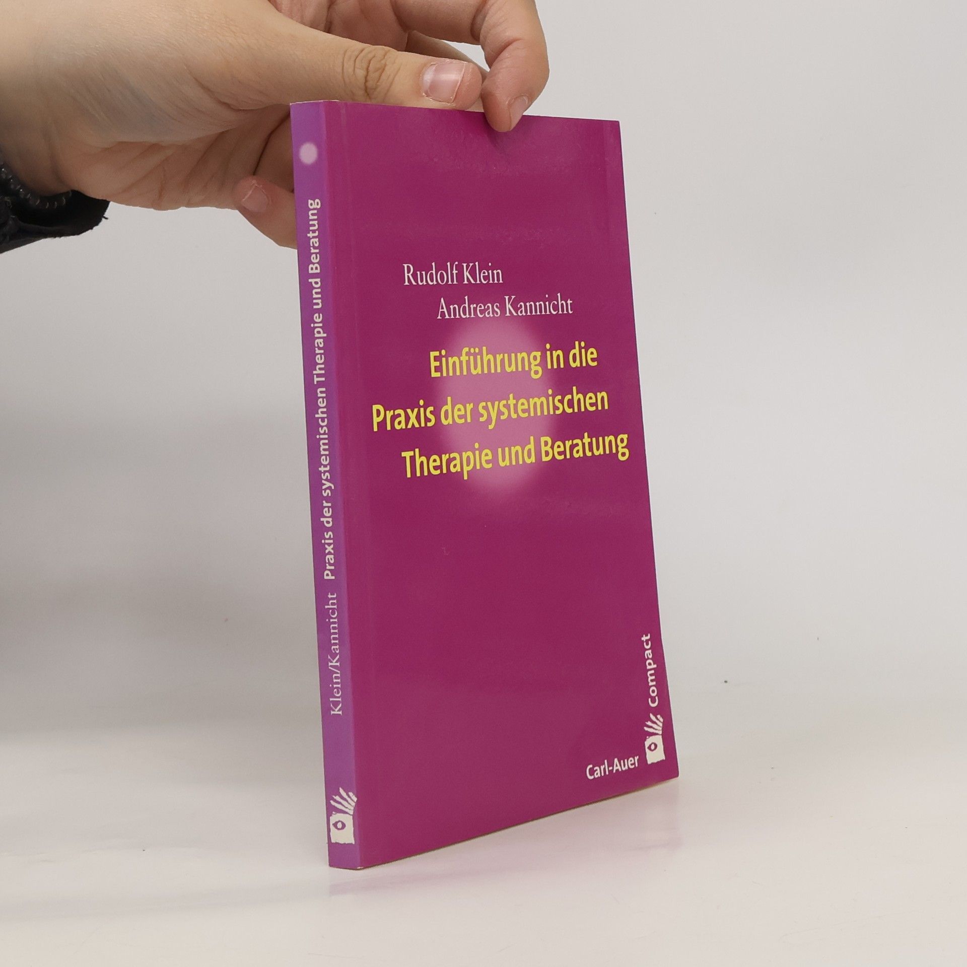 Einführung in die Praxis der systemischen Therapie und Beratung