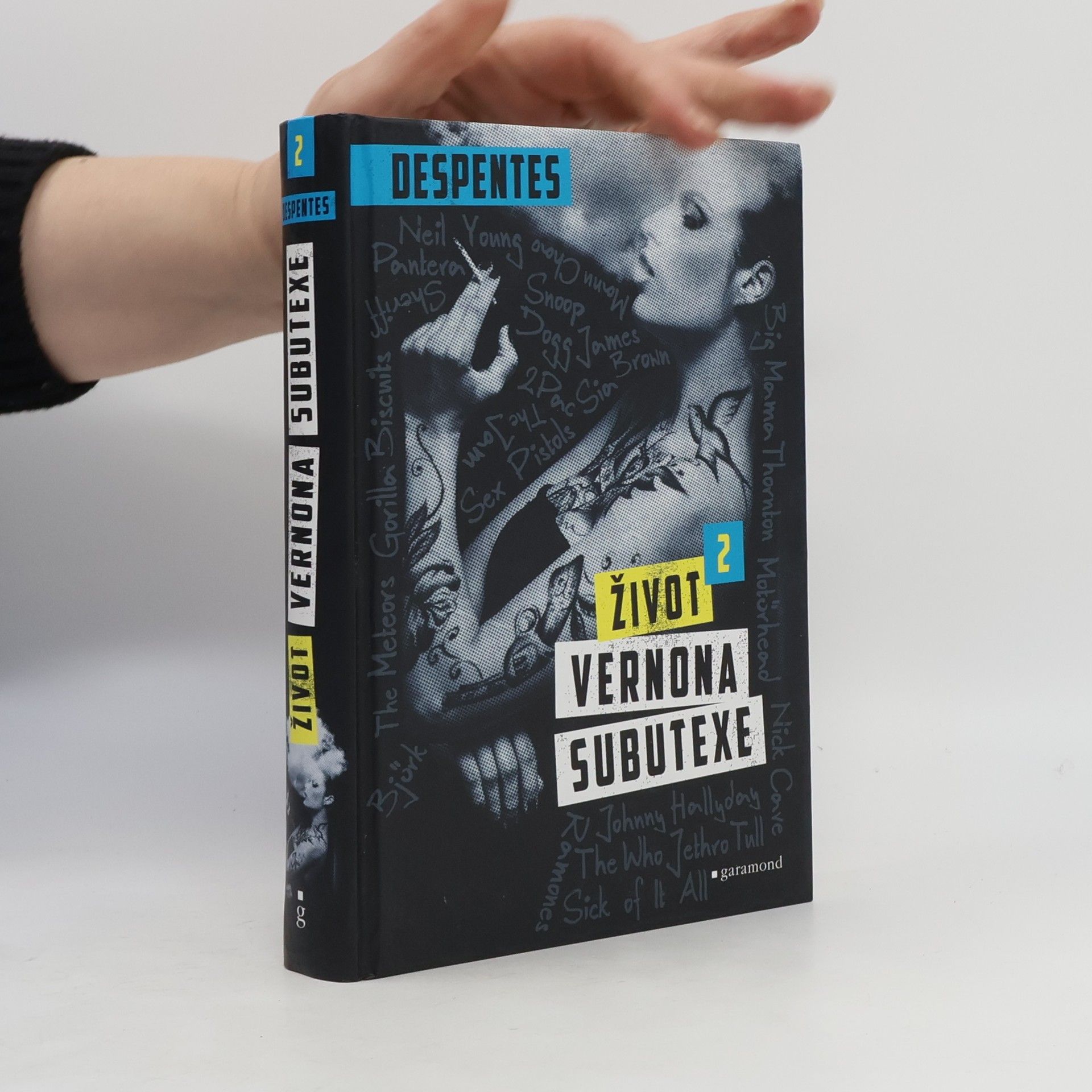 Virginie Despentes Život Vernona Subutexe. Díl 2